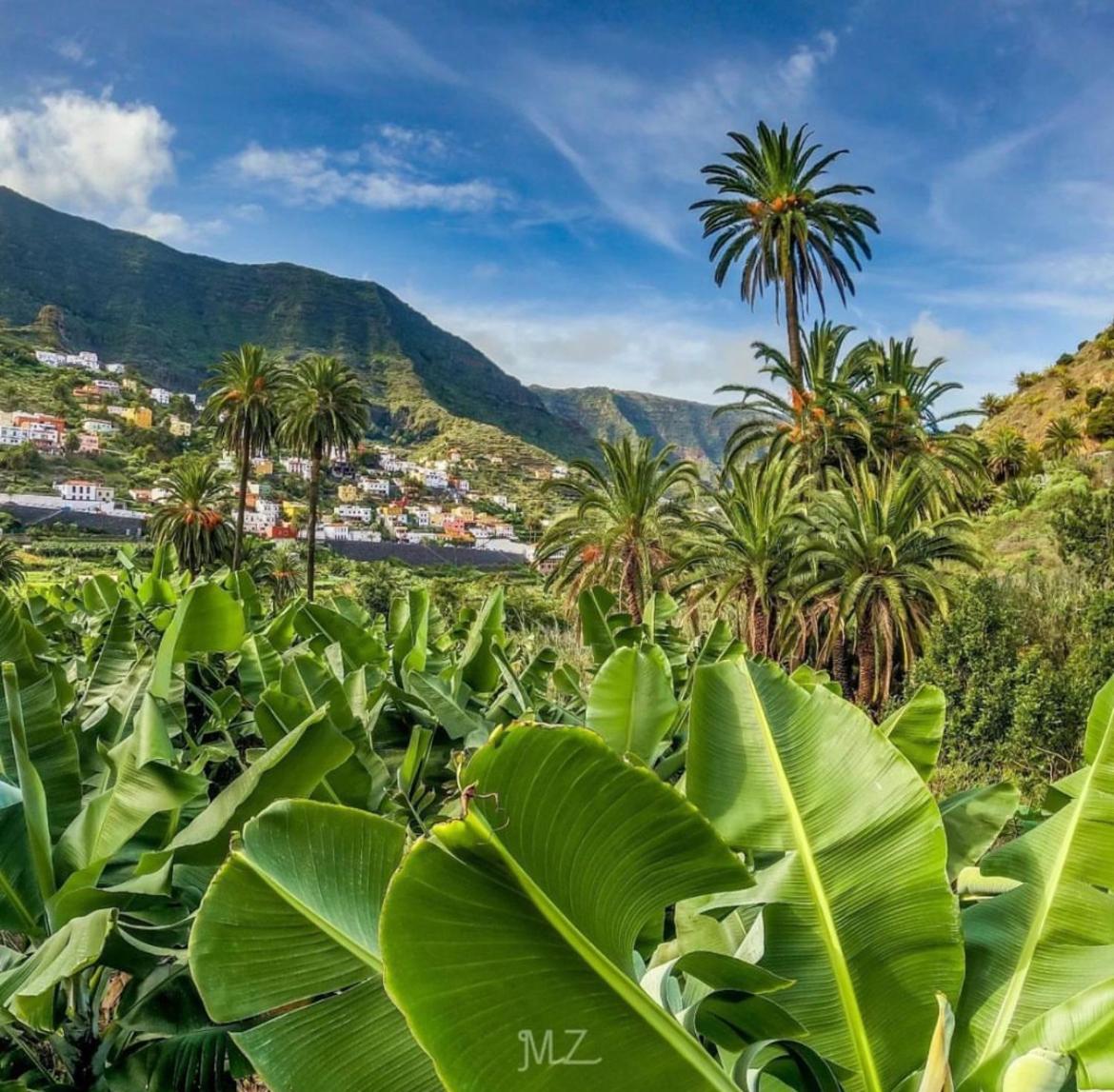 Casa Buganvilla