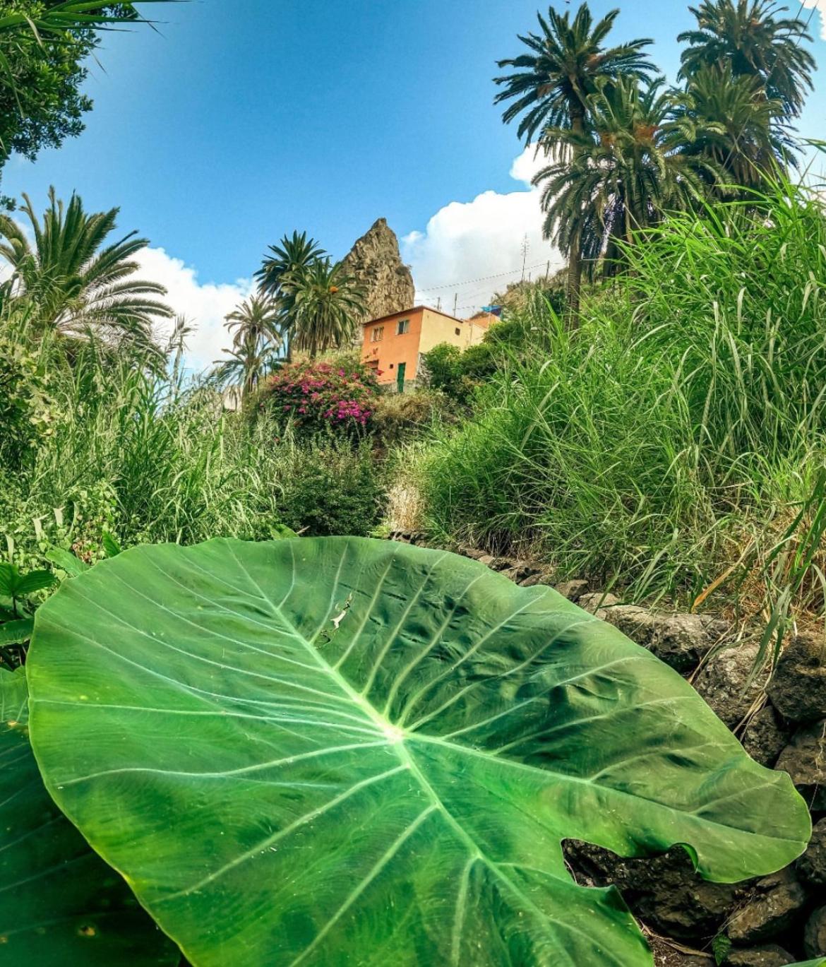 Casa Buganvilla