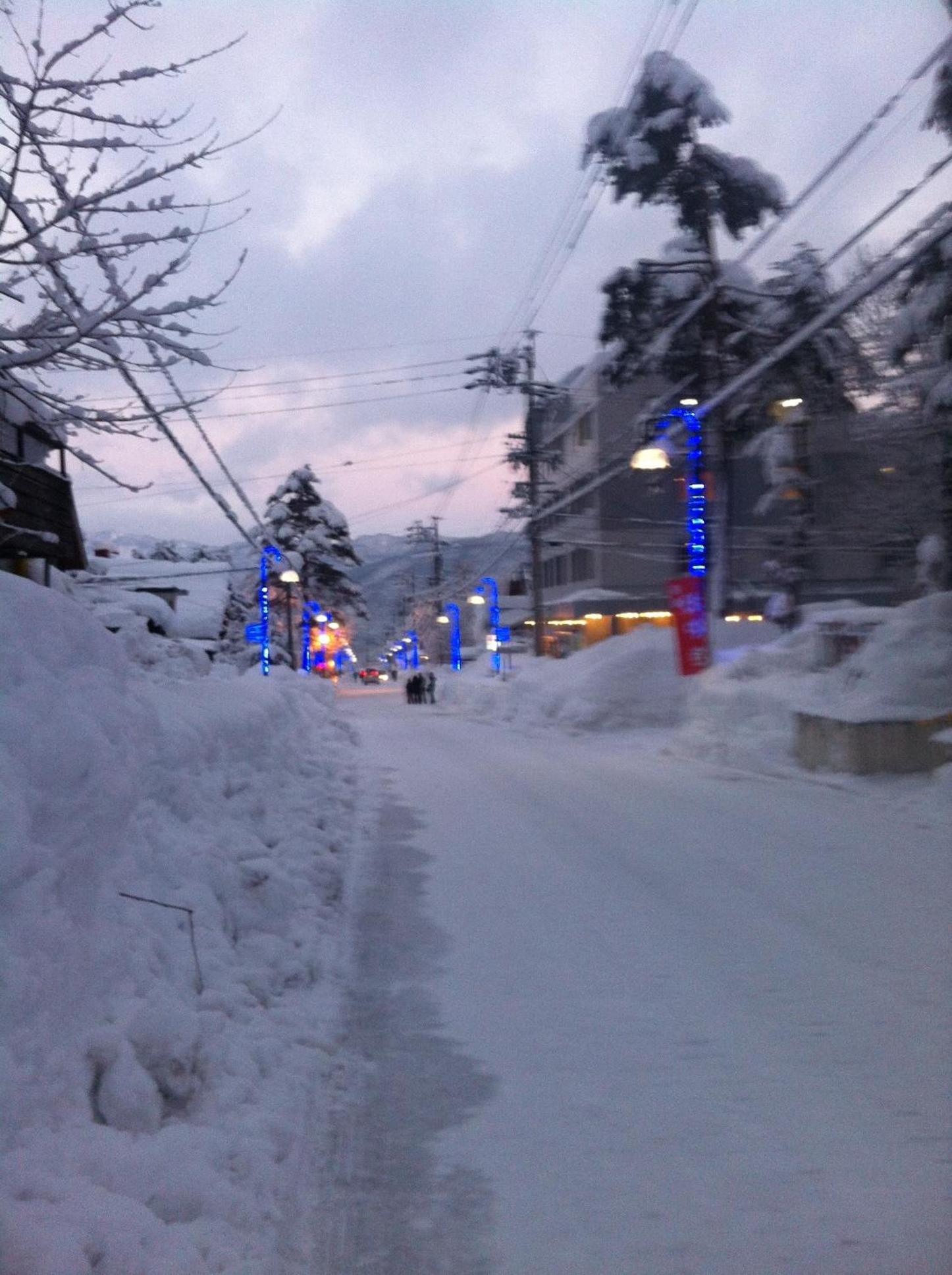 Photo 42