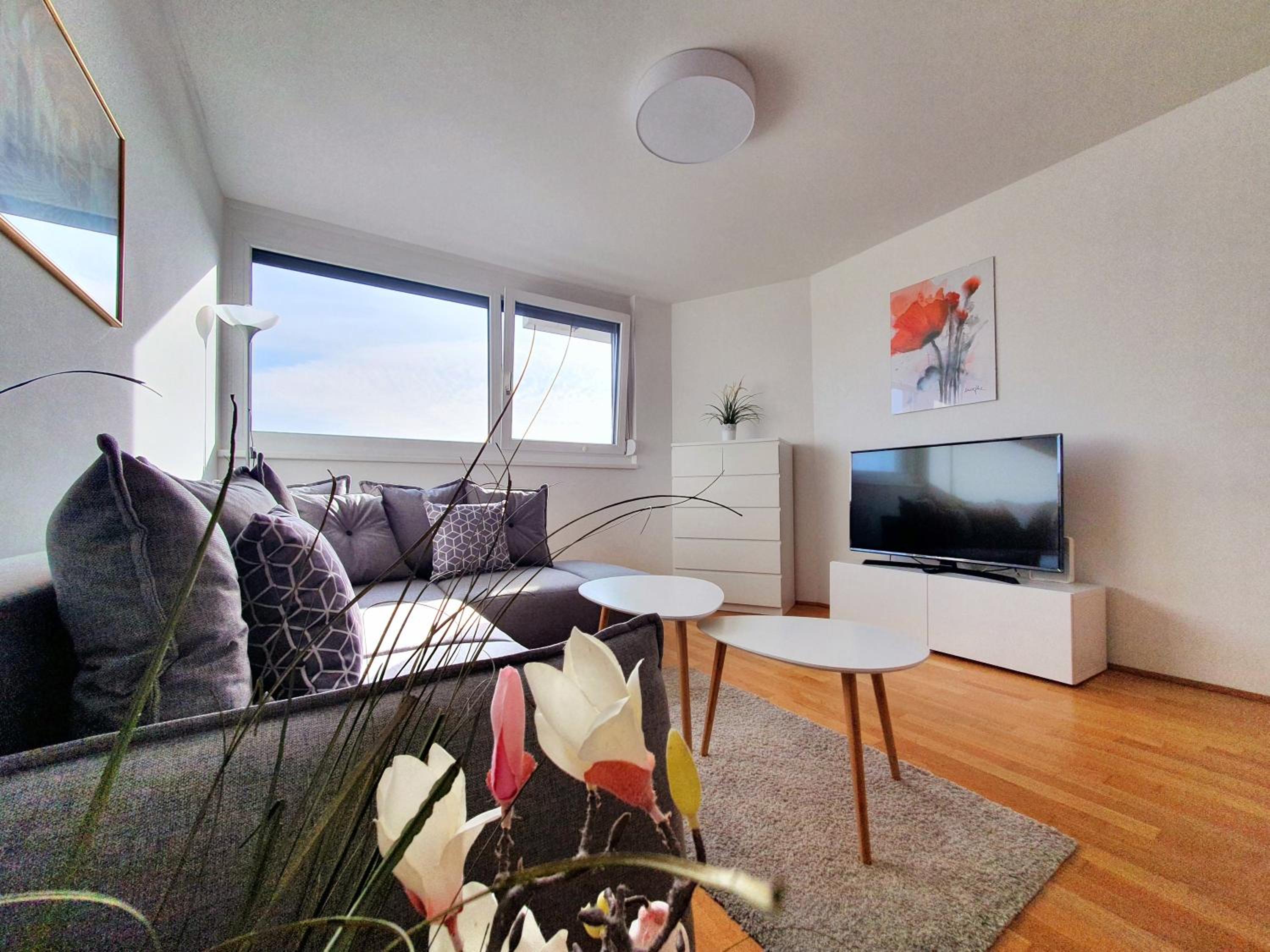 Near Lake Stylish & Fully Furnished Apartment