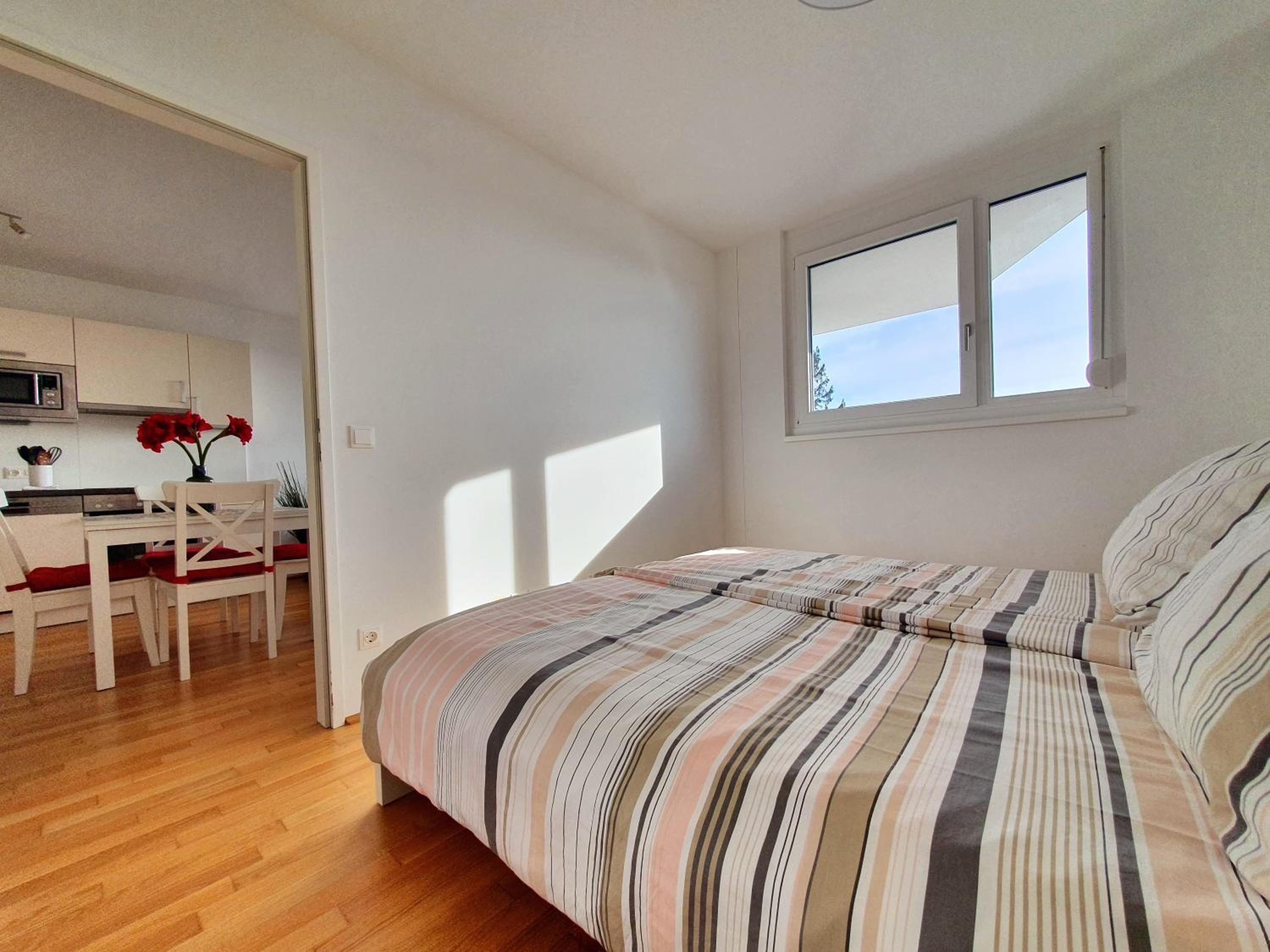 Near Lake Stylish & Fully Furnished Apartment