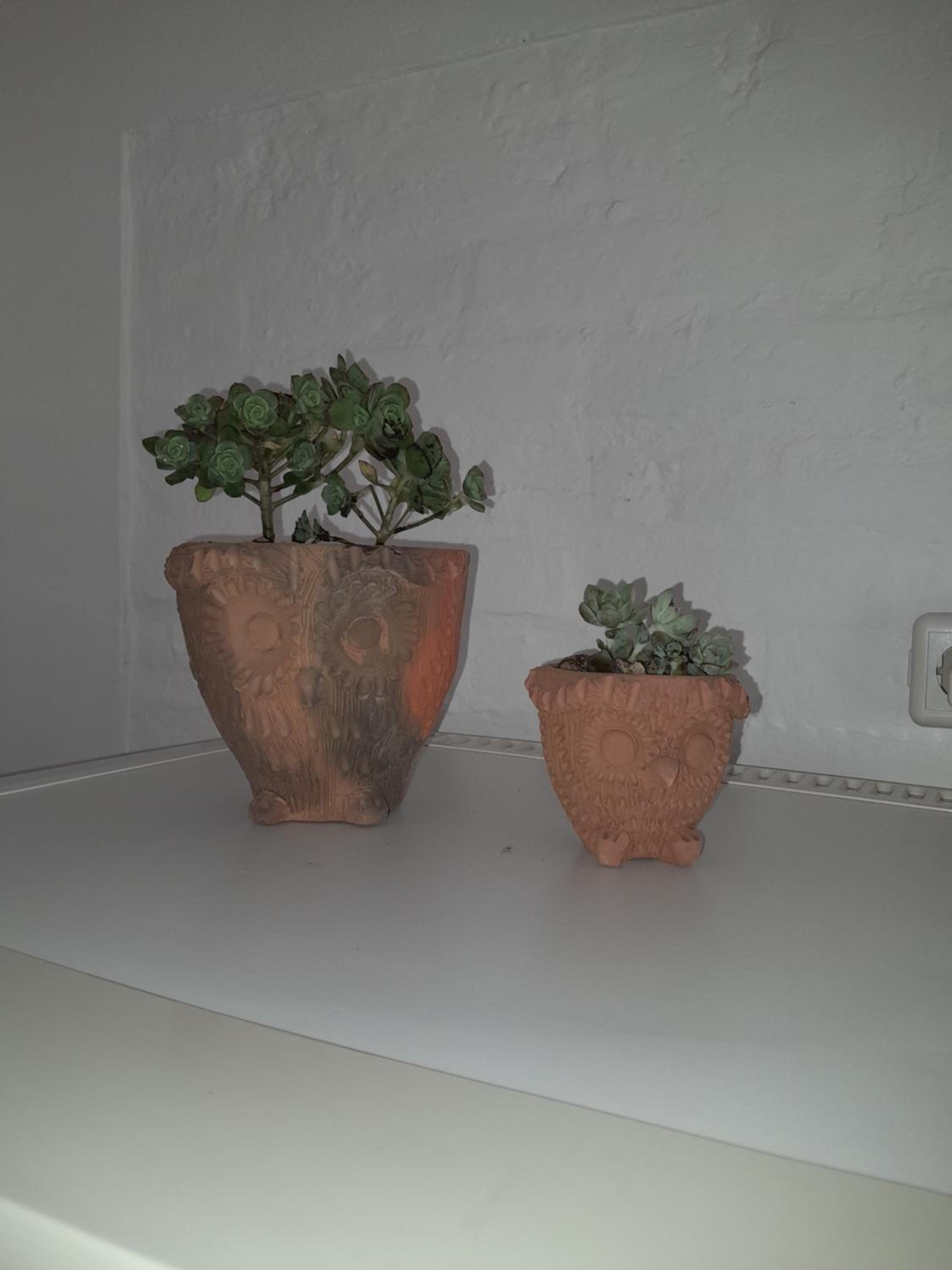 Apartamento en Colonia view 5