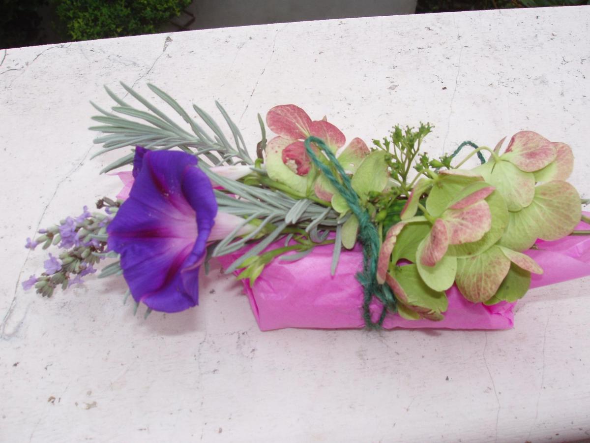 Photo 20