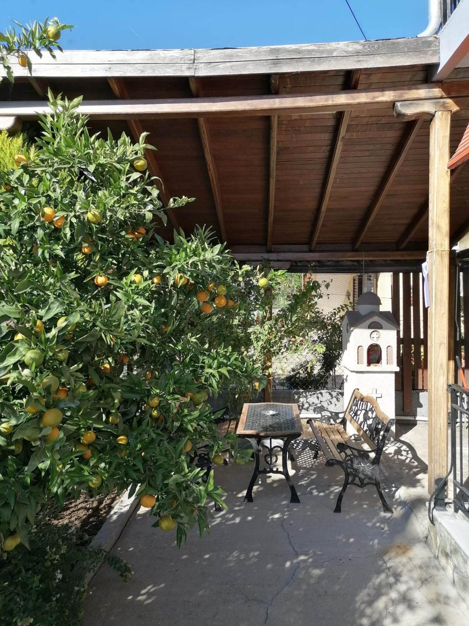 Photo 25