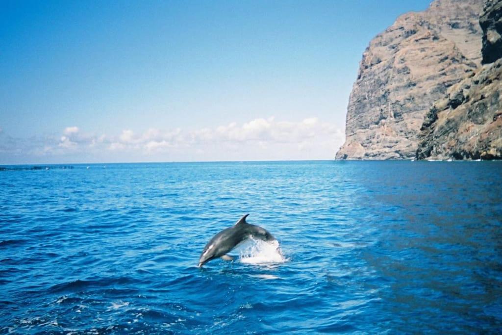 Vacanze da sogno