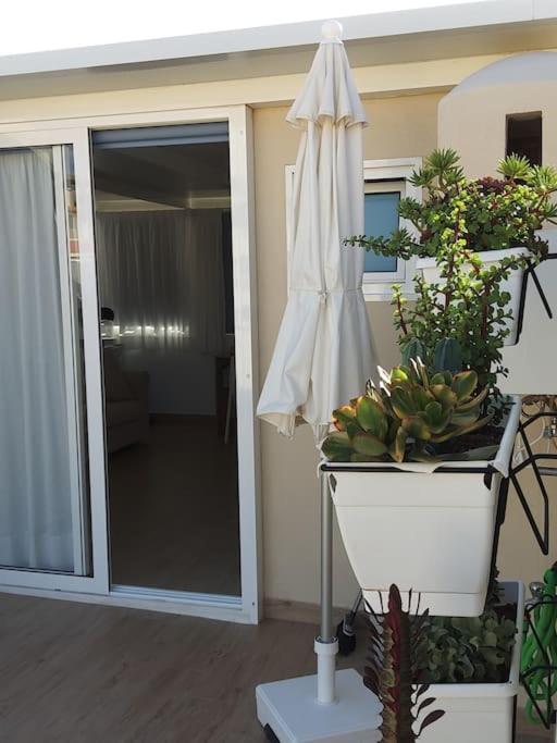 Vacanze da sogno