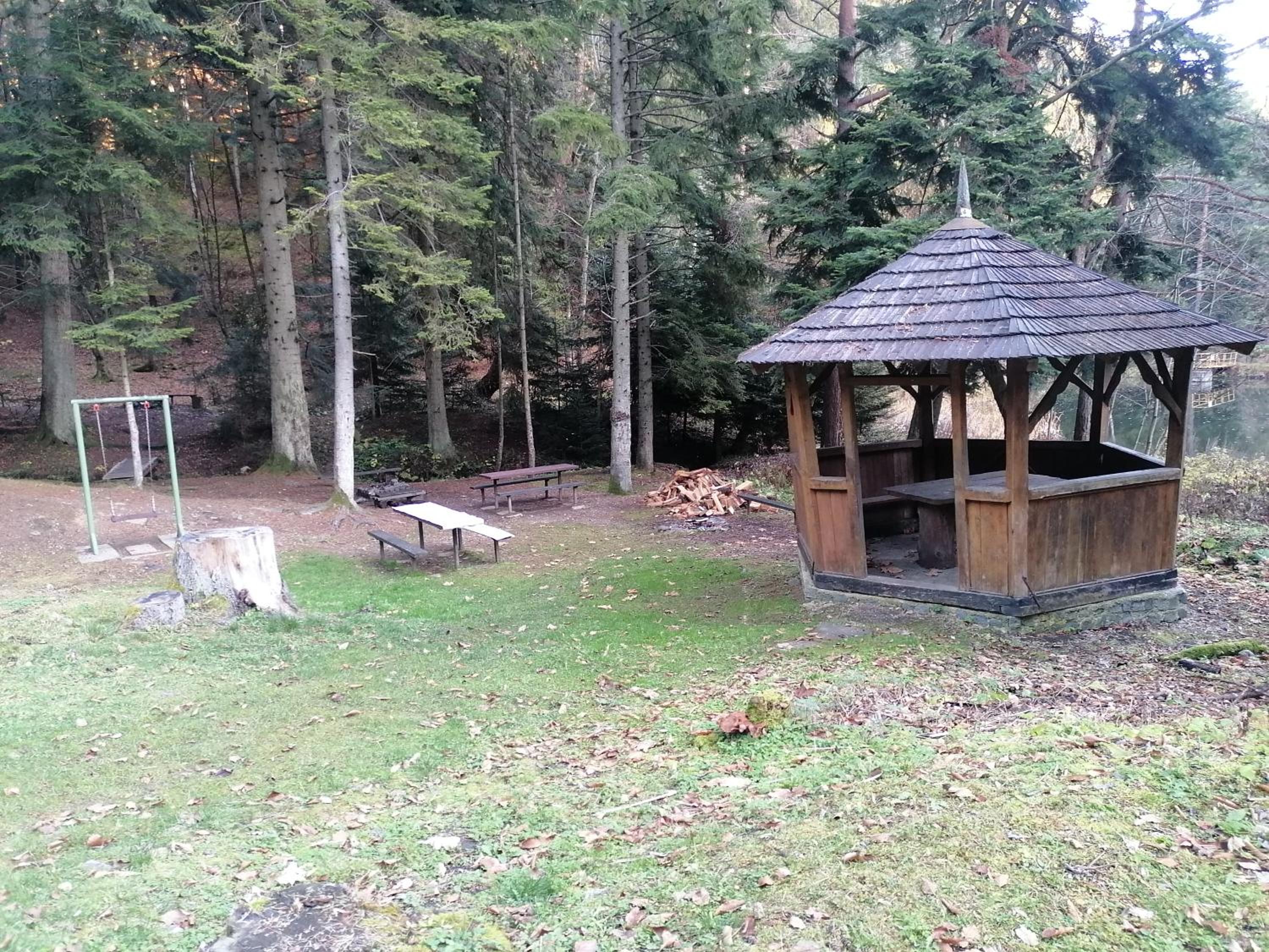 Photo 11