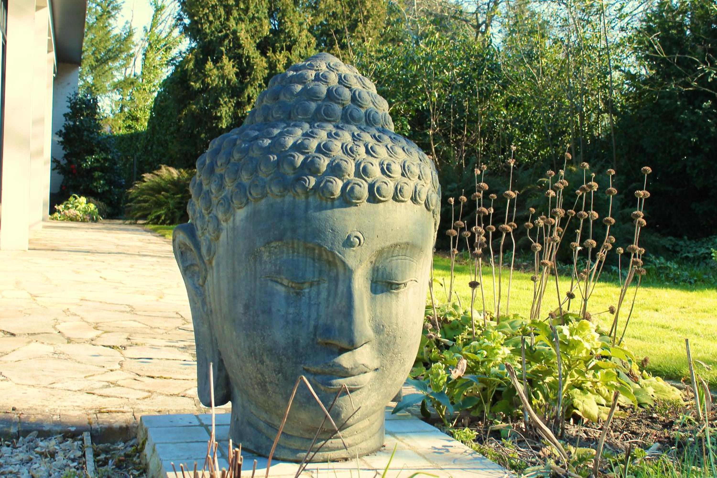 Photo 40