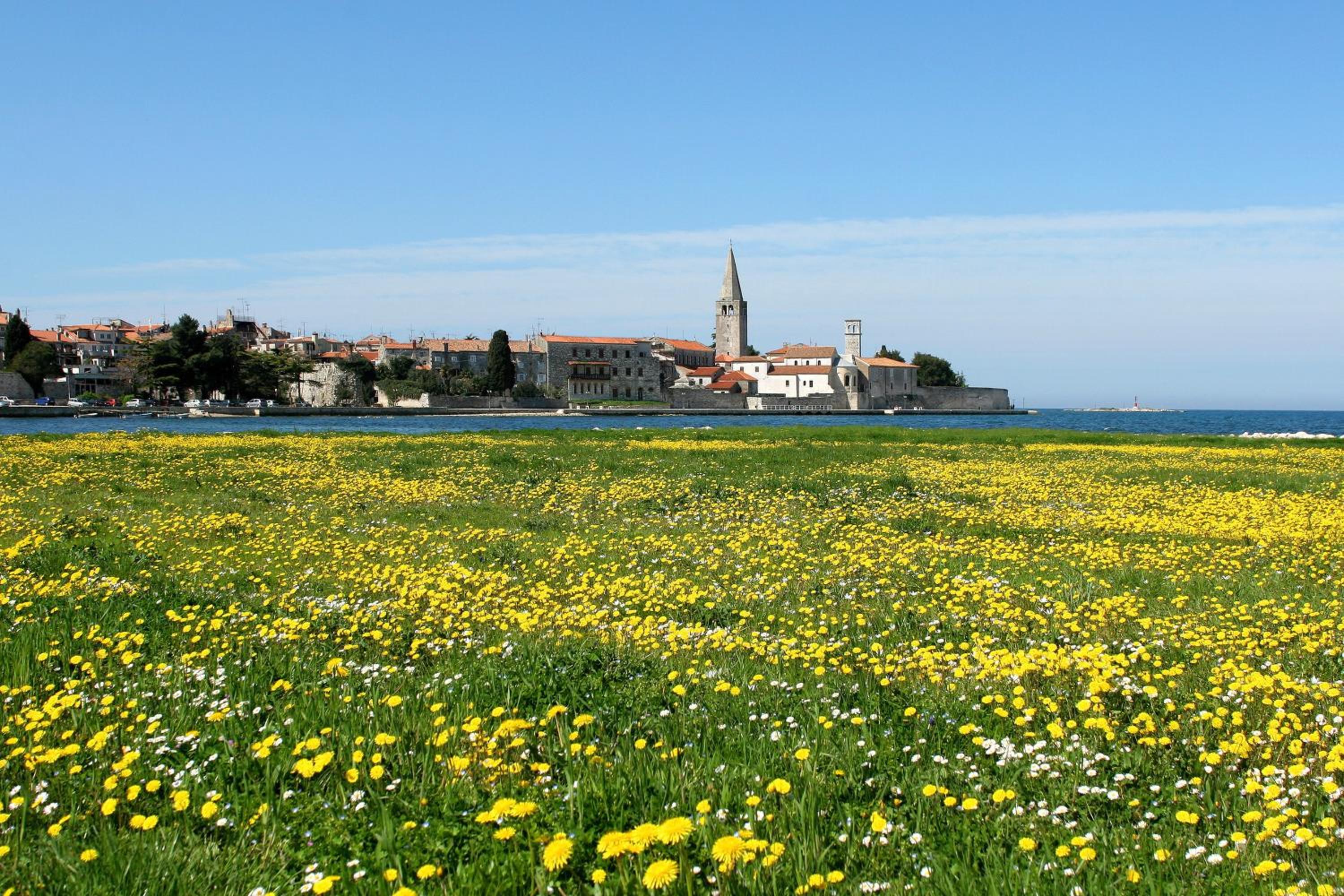Klara in Porec  Istrien - Property Image 19