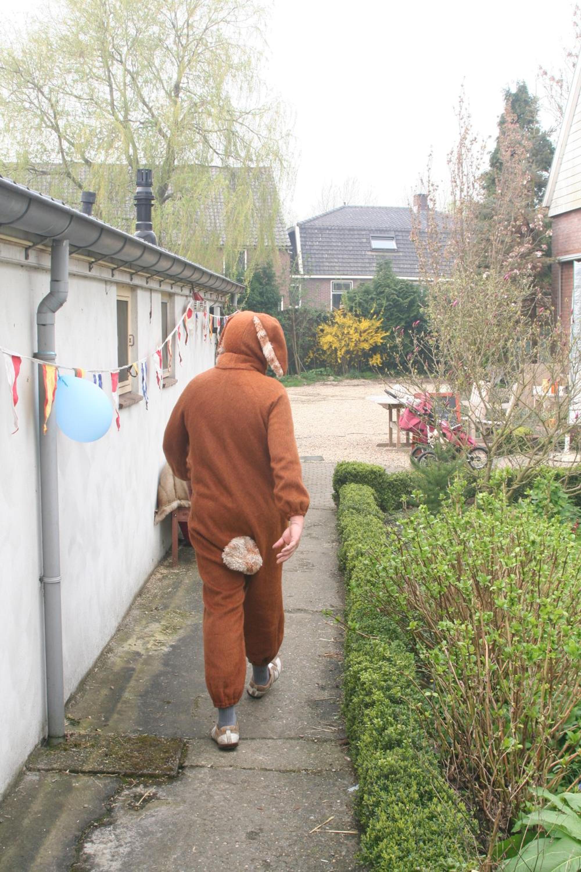 Photo 26