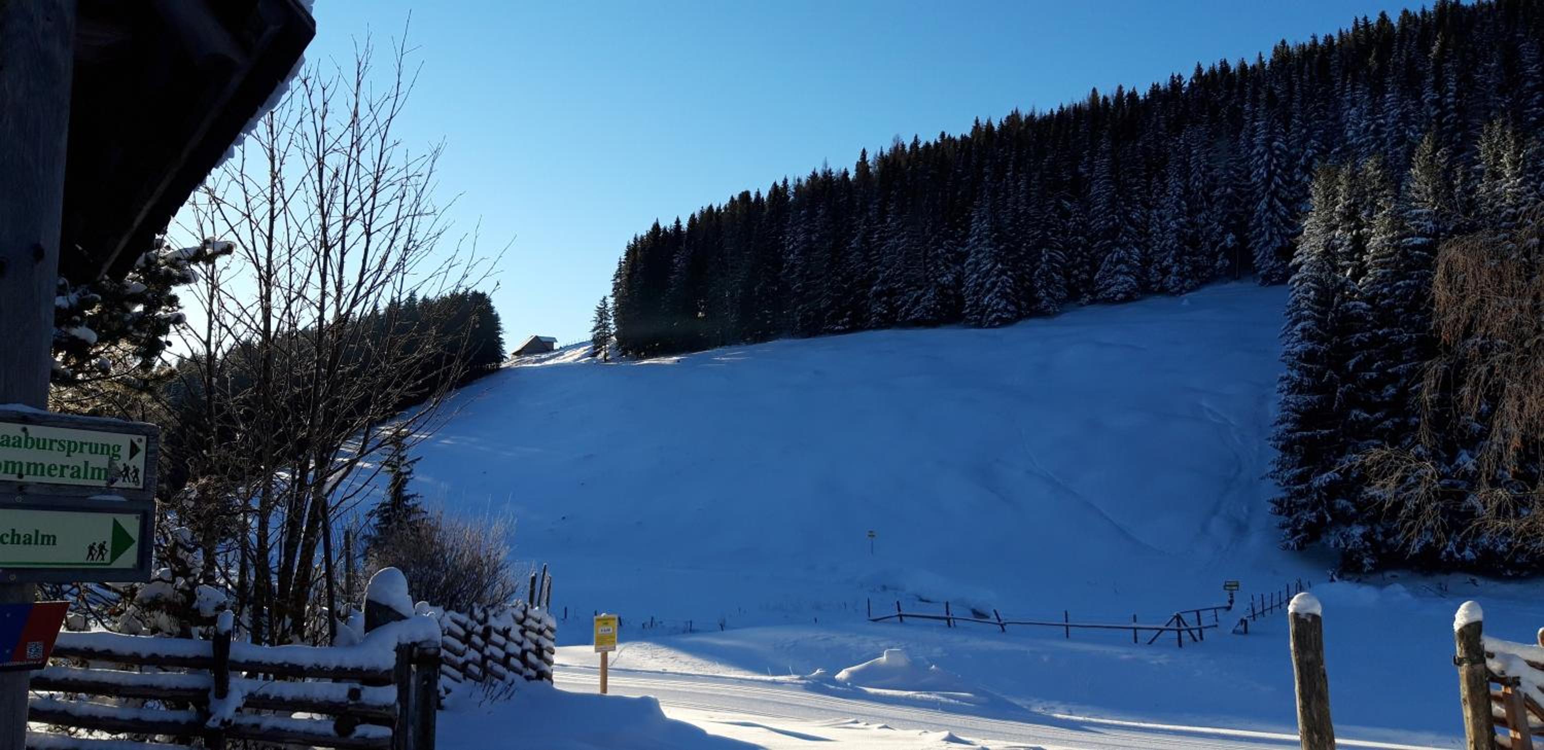 Pension Holzmeister