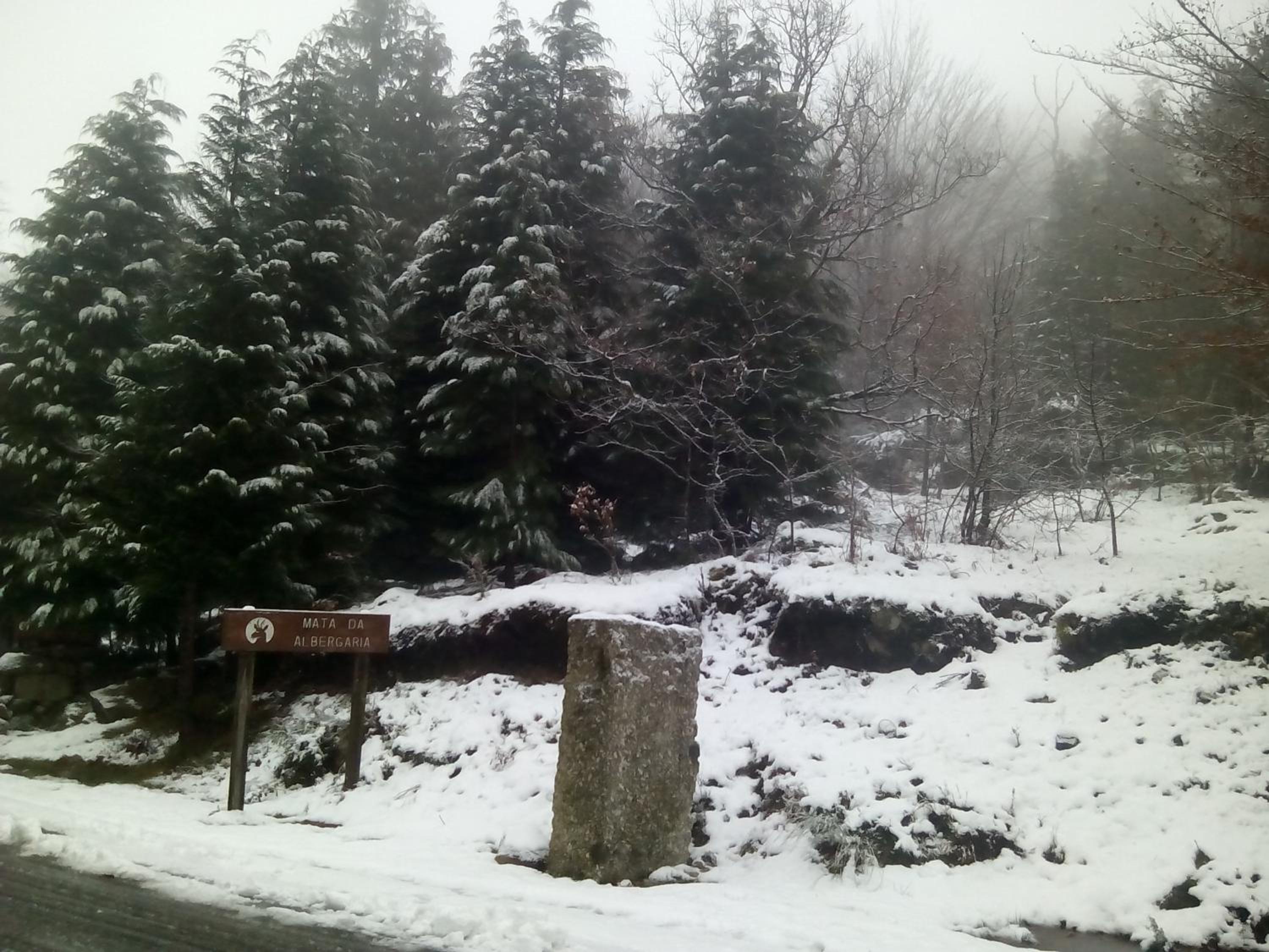 Photo 38