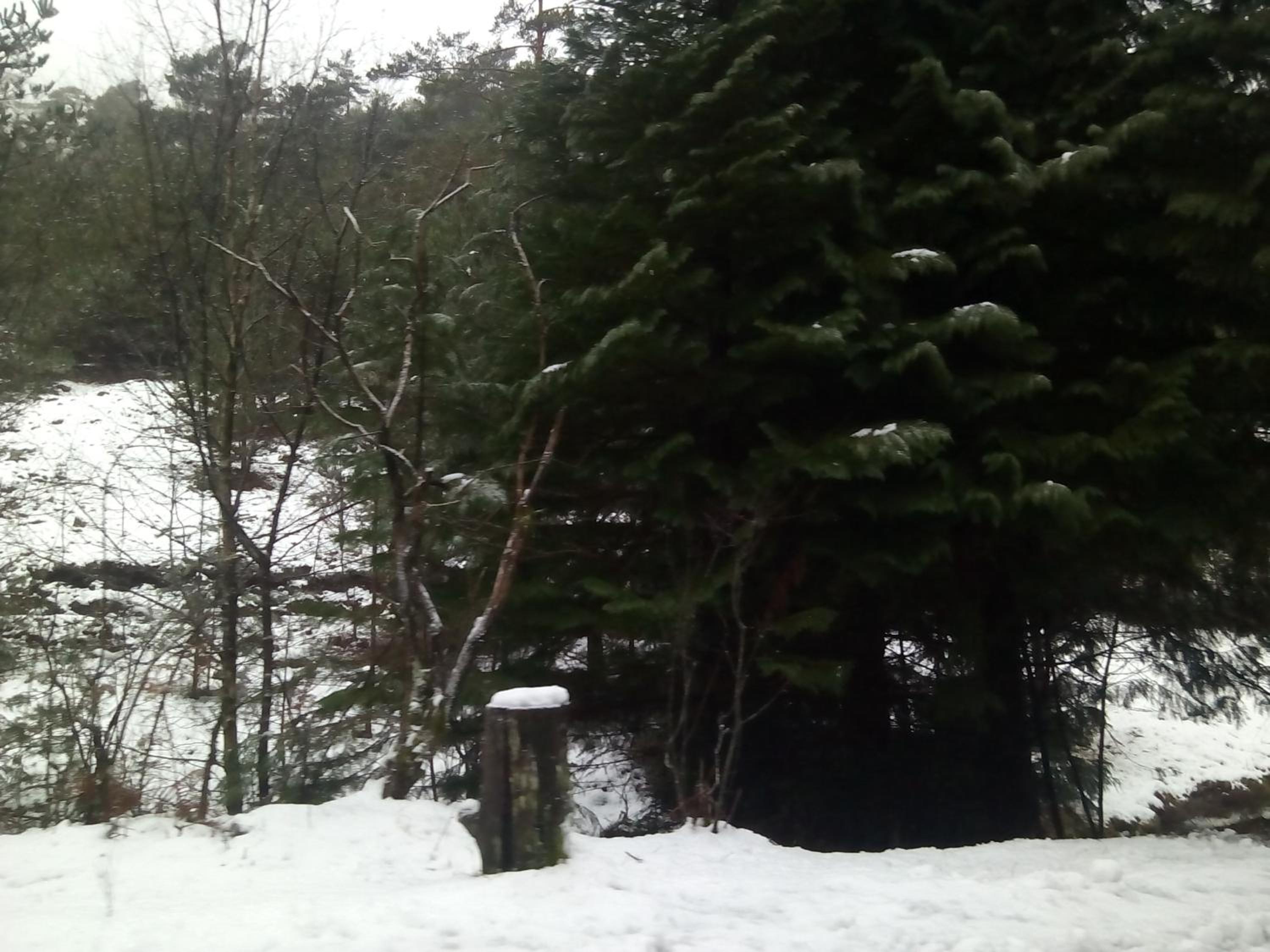 Photo 40