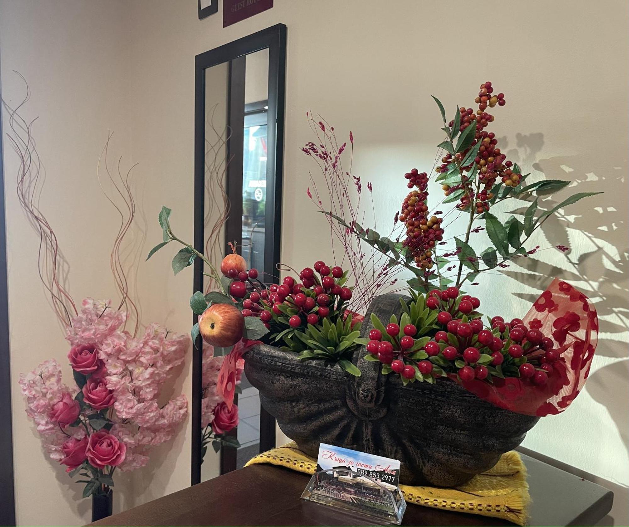 Asya Guest House