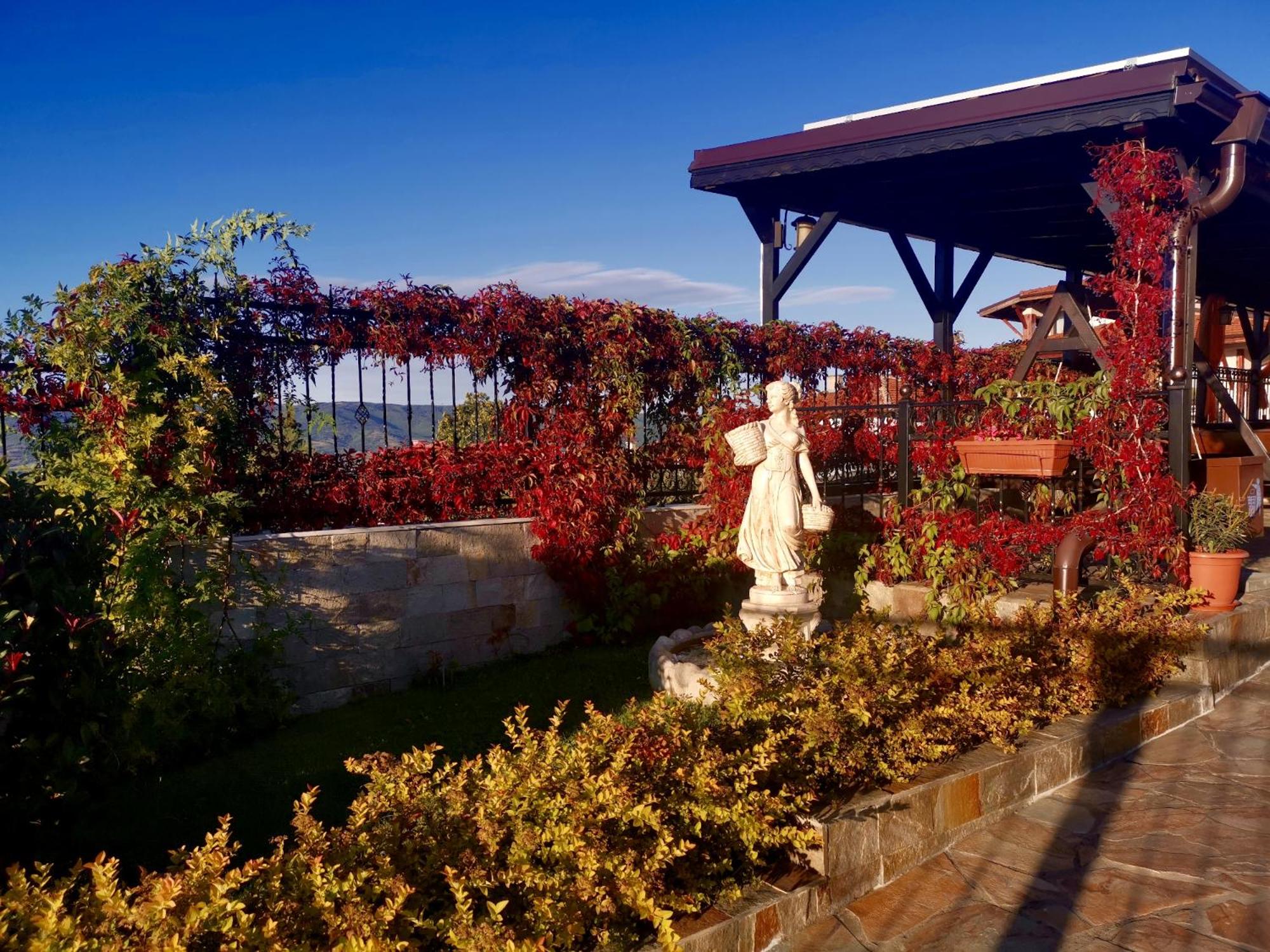 Asya Guest House