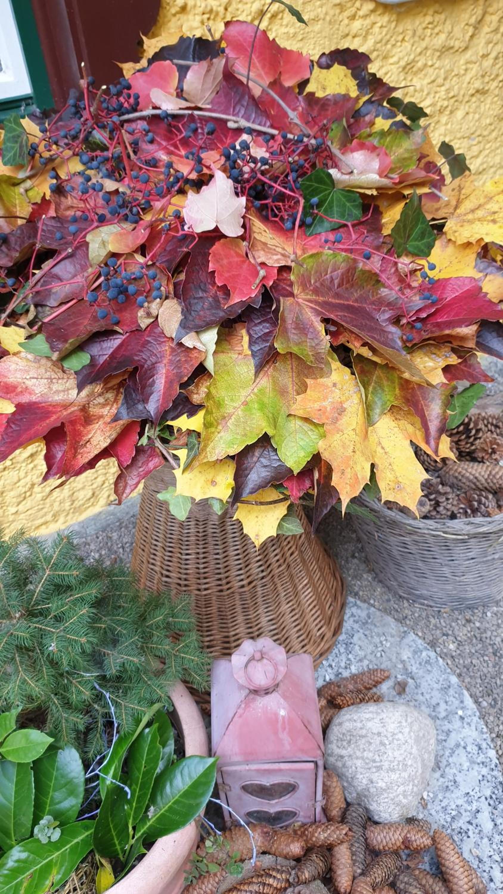 Photo 22