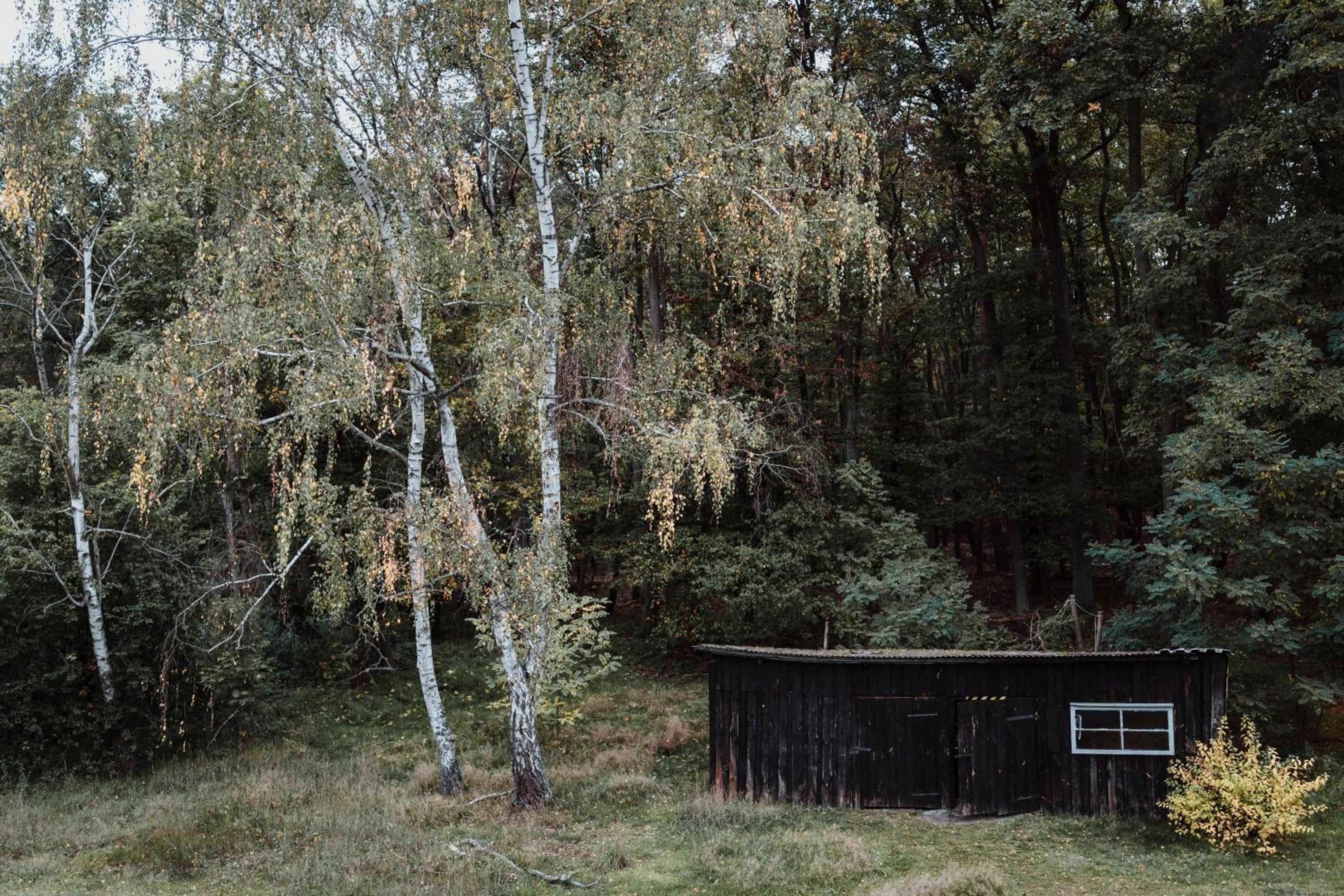 Spreewaldhaus am Landgut - Pretschen