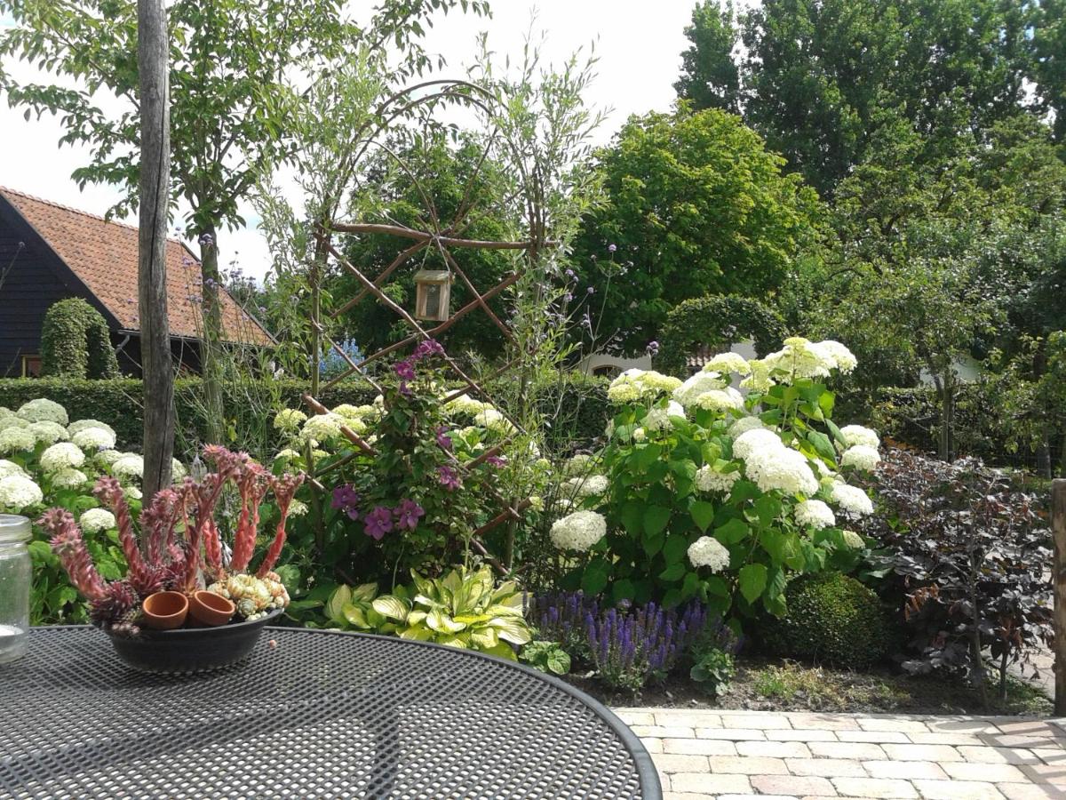 Photo 19