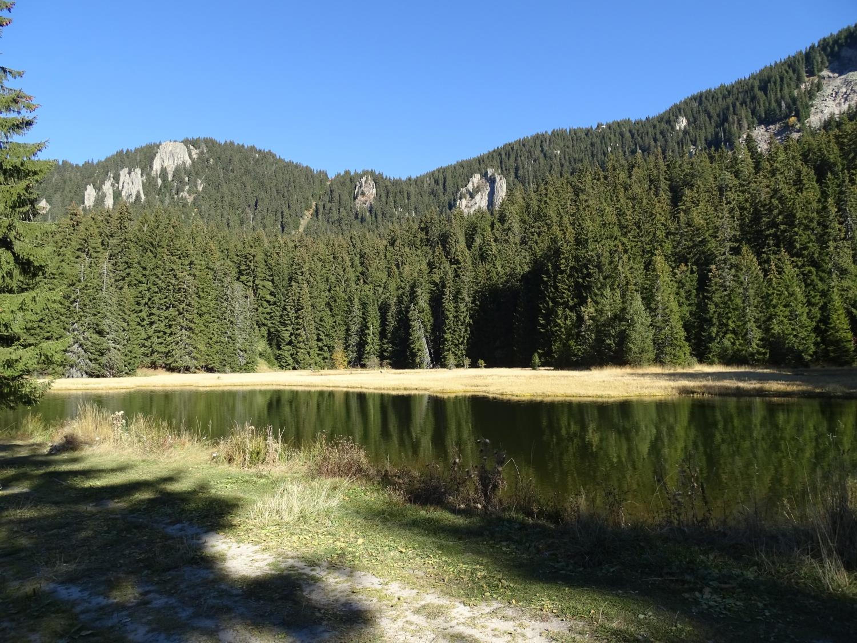 Photo 42