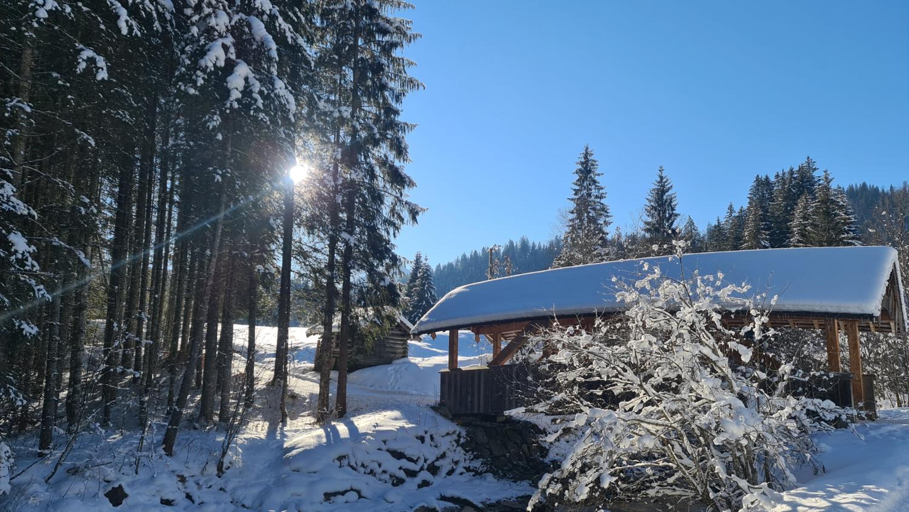Haus Alpenglück