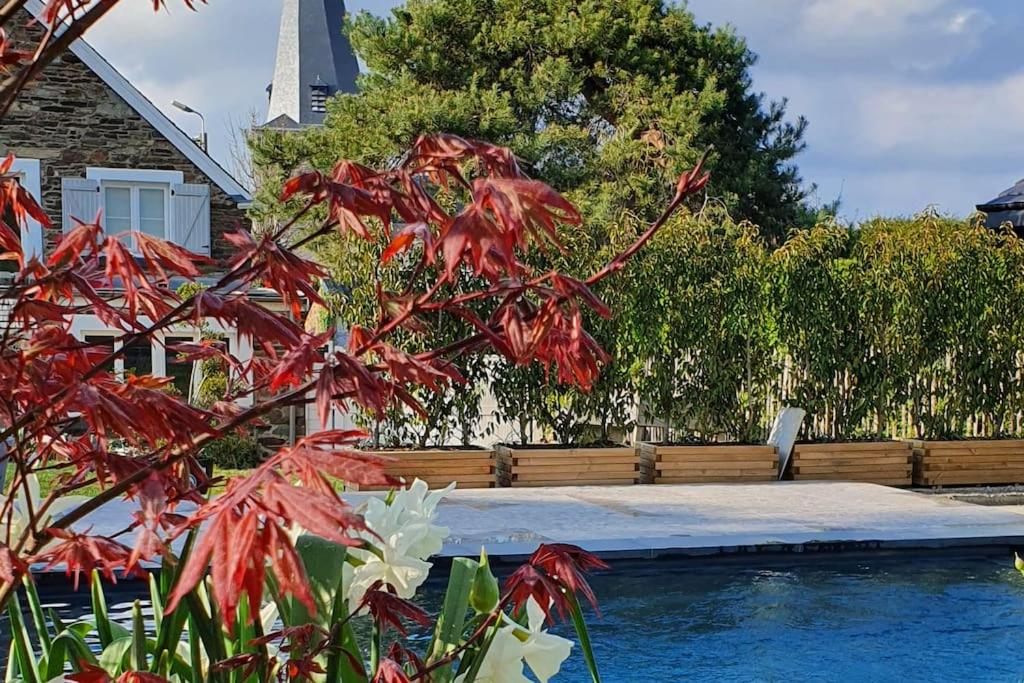 PINE COTTAGE- 5 minutes Francorchamps - charme -piscine-calme-jardin