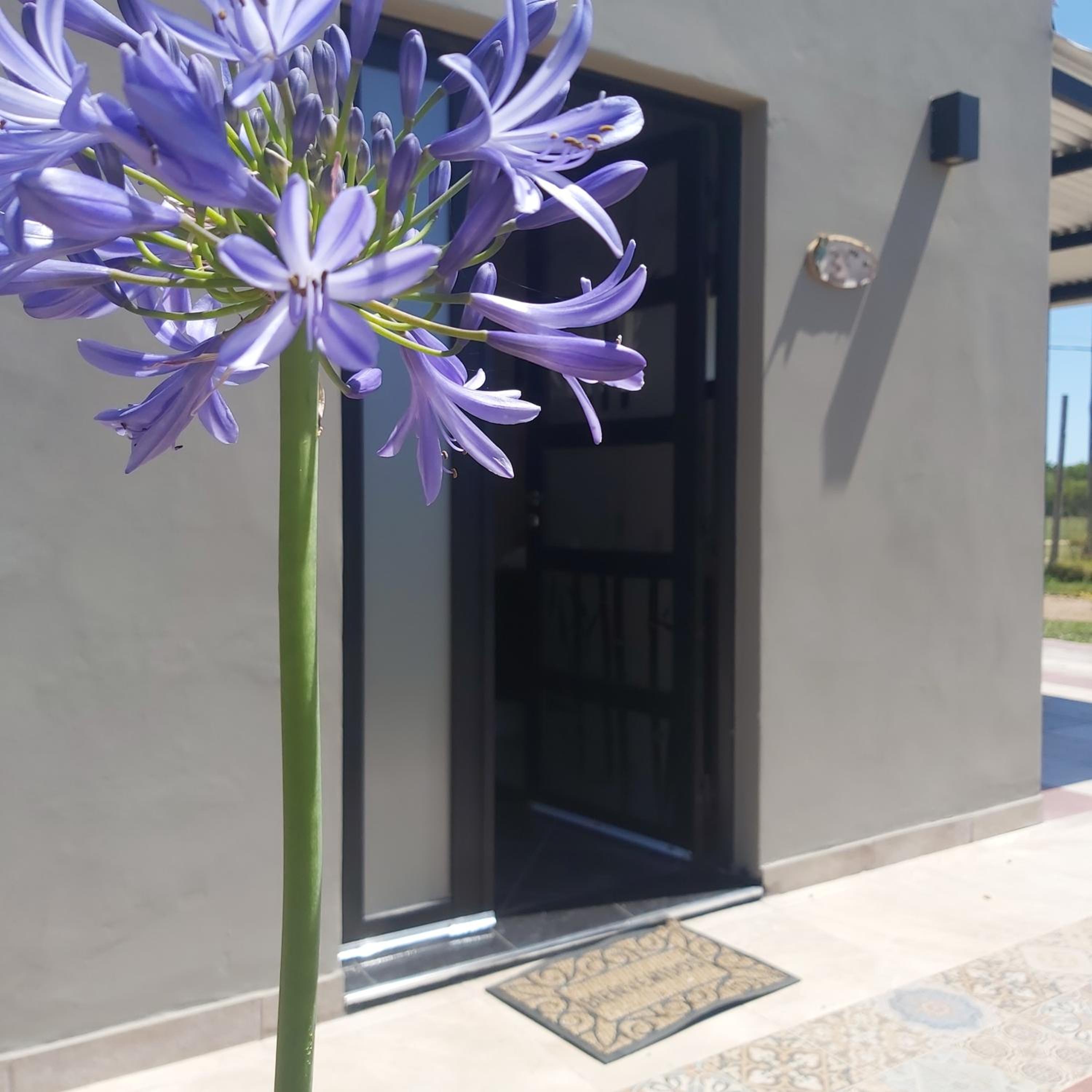 HANAKOTOBA El lenguaje de las Flores