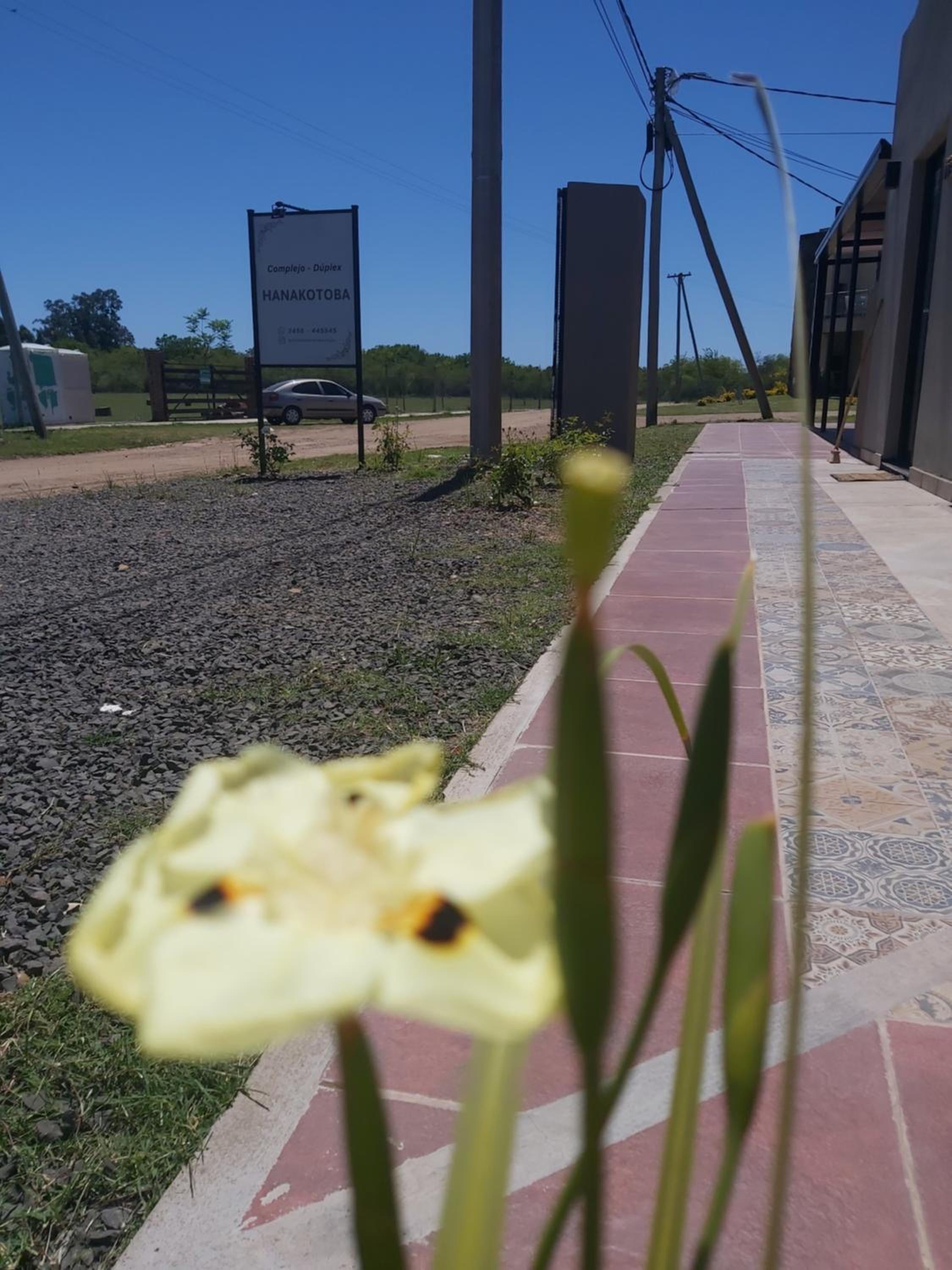 HANAKOTOBA El lenguaje de las Flores