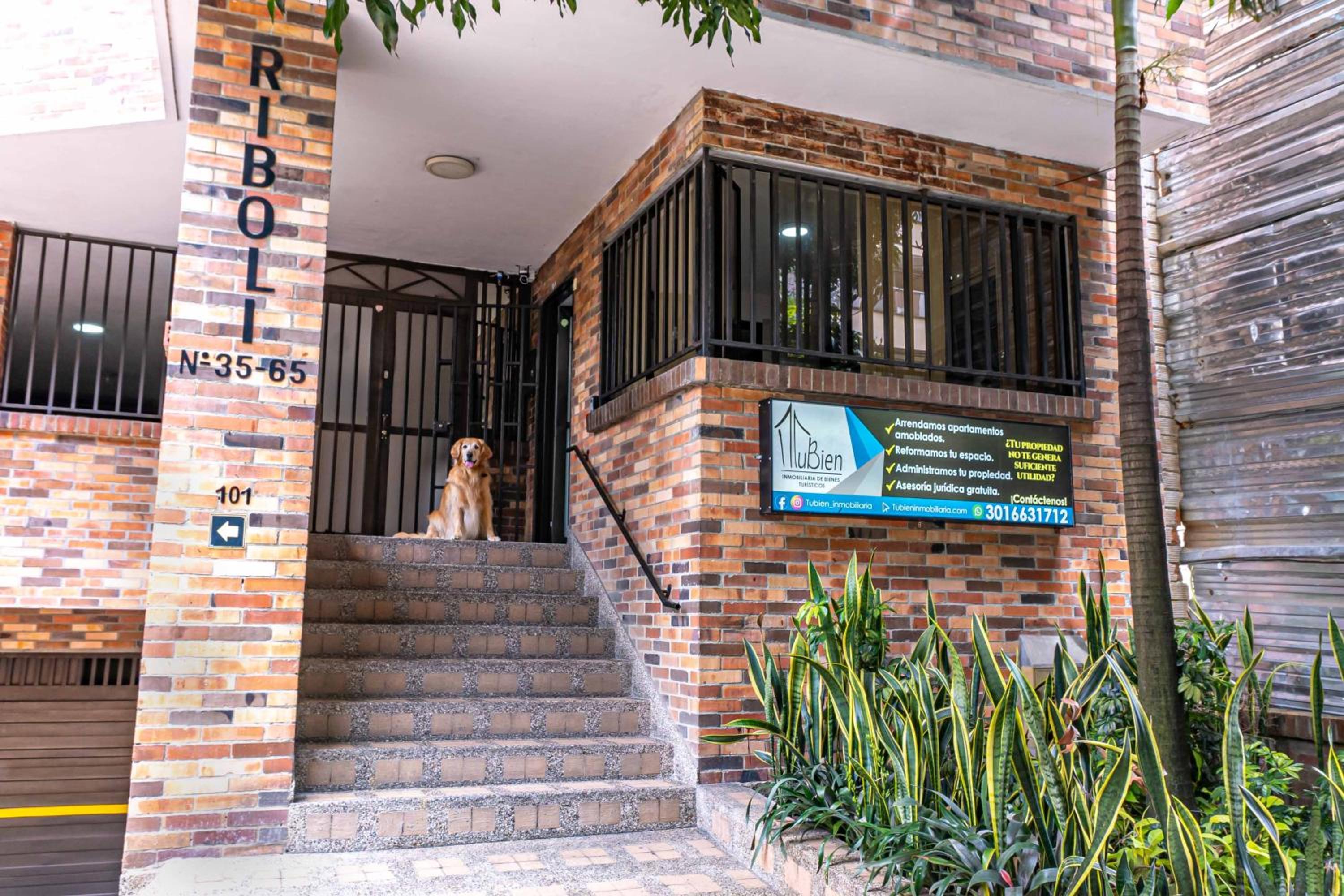 Apartaestudio Laureles - Viva Laureles