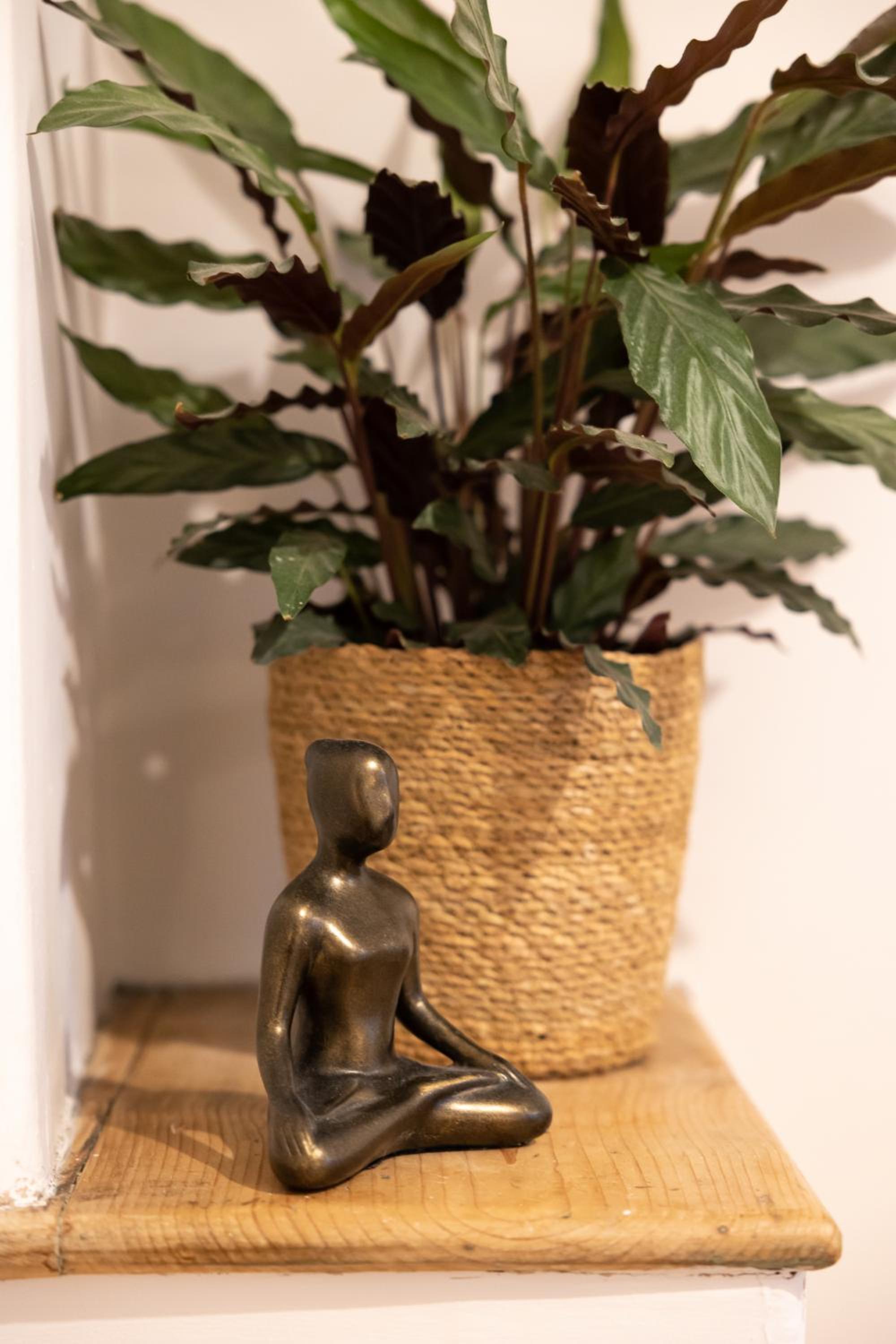 Photo 42