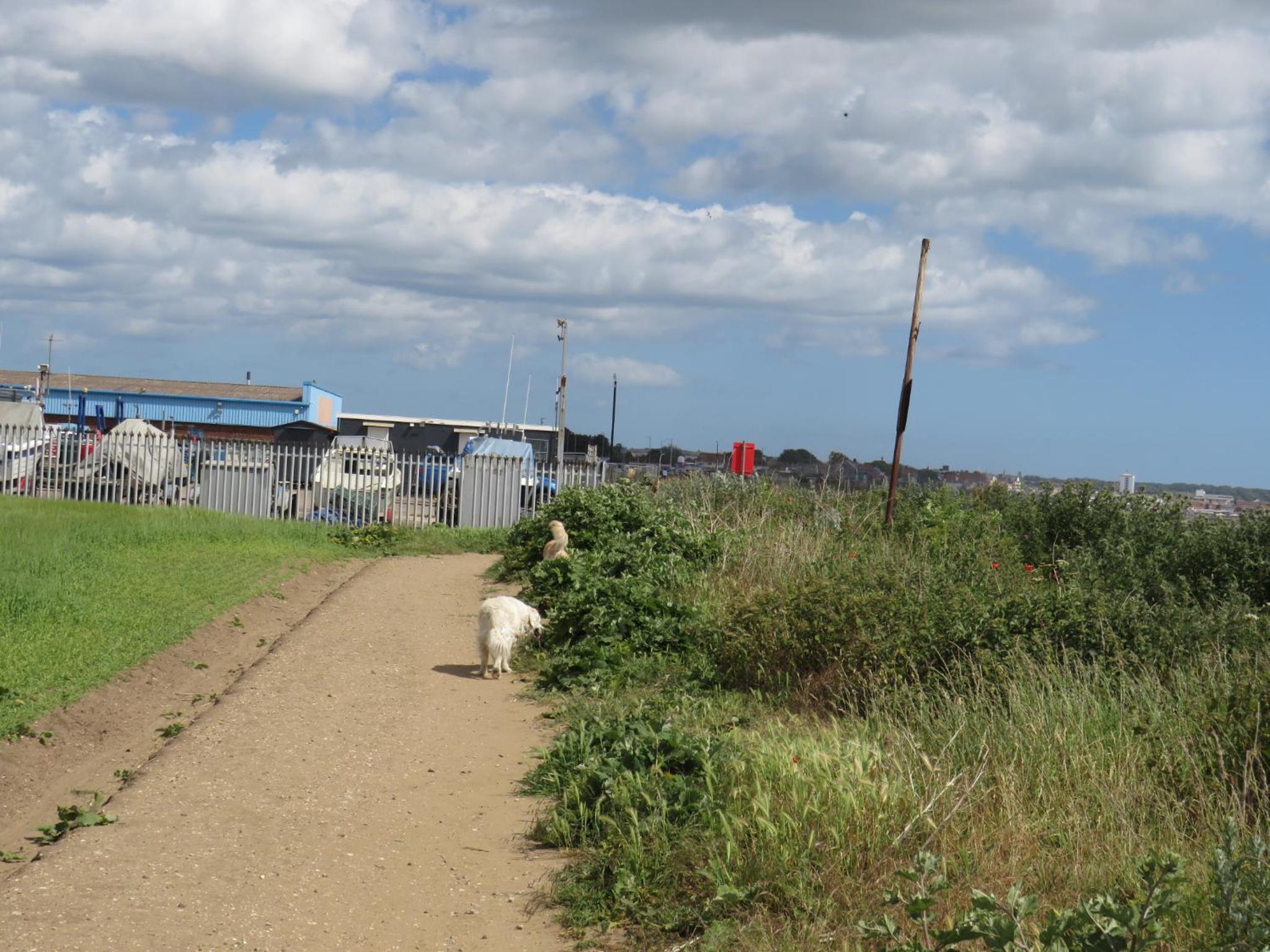 Photo 32