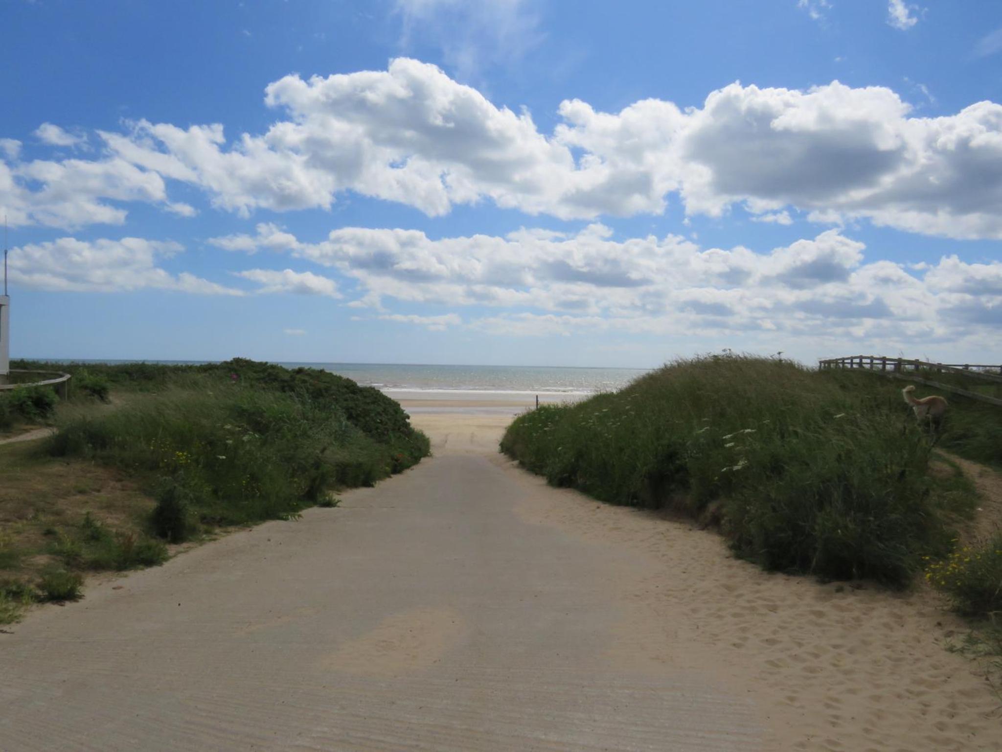 Photo 48