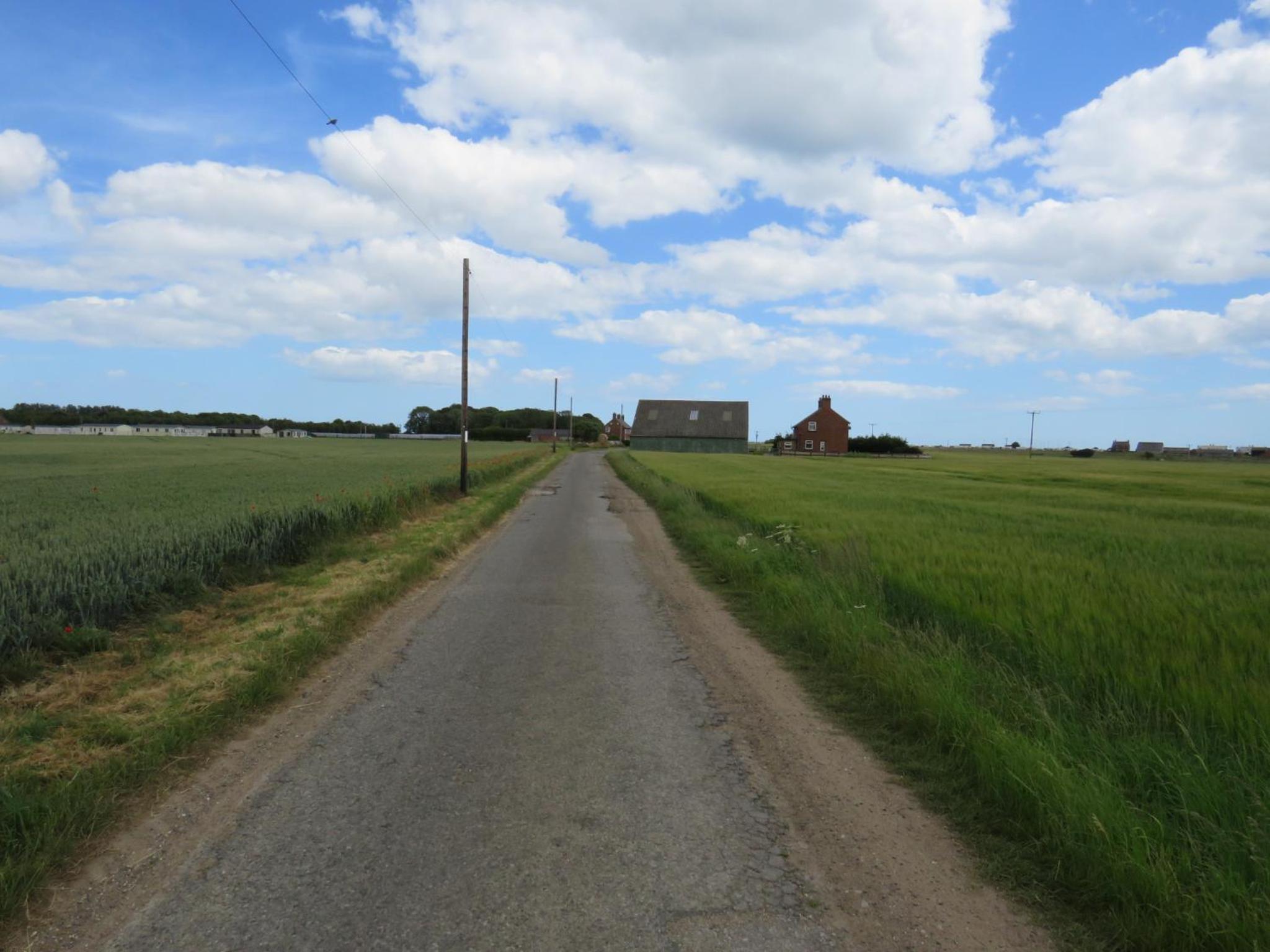 Photo 46