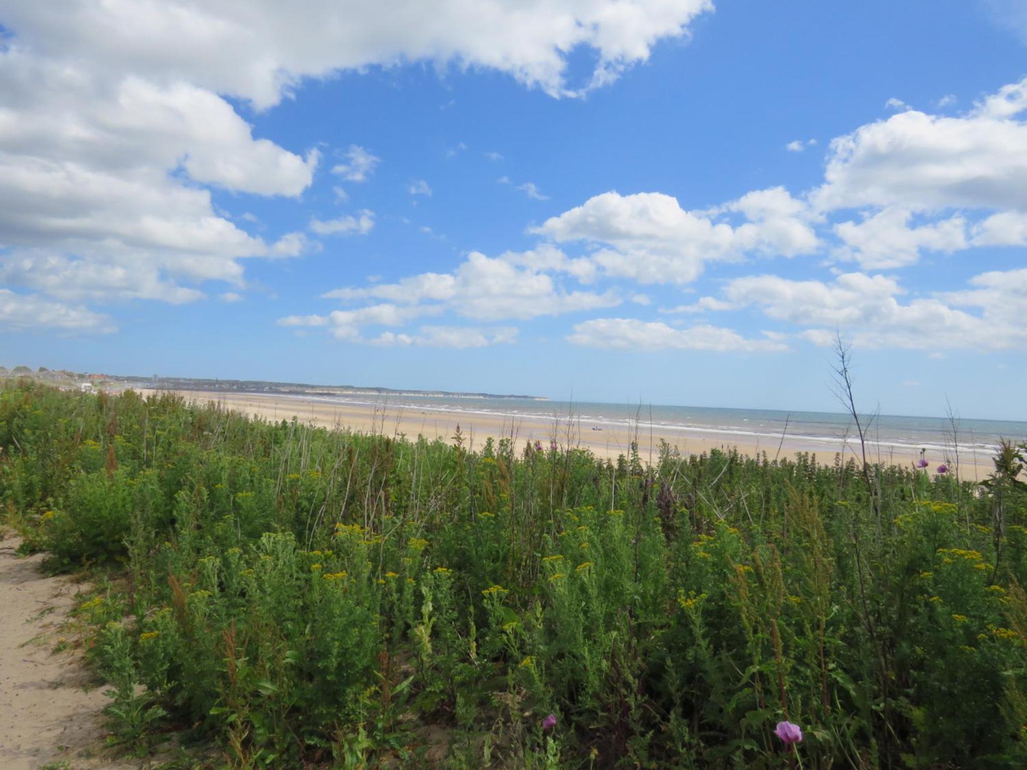 Photo 42