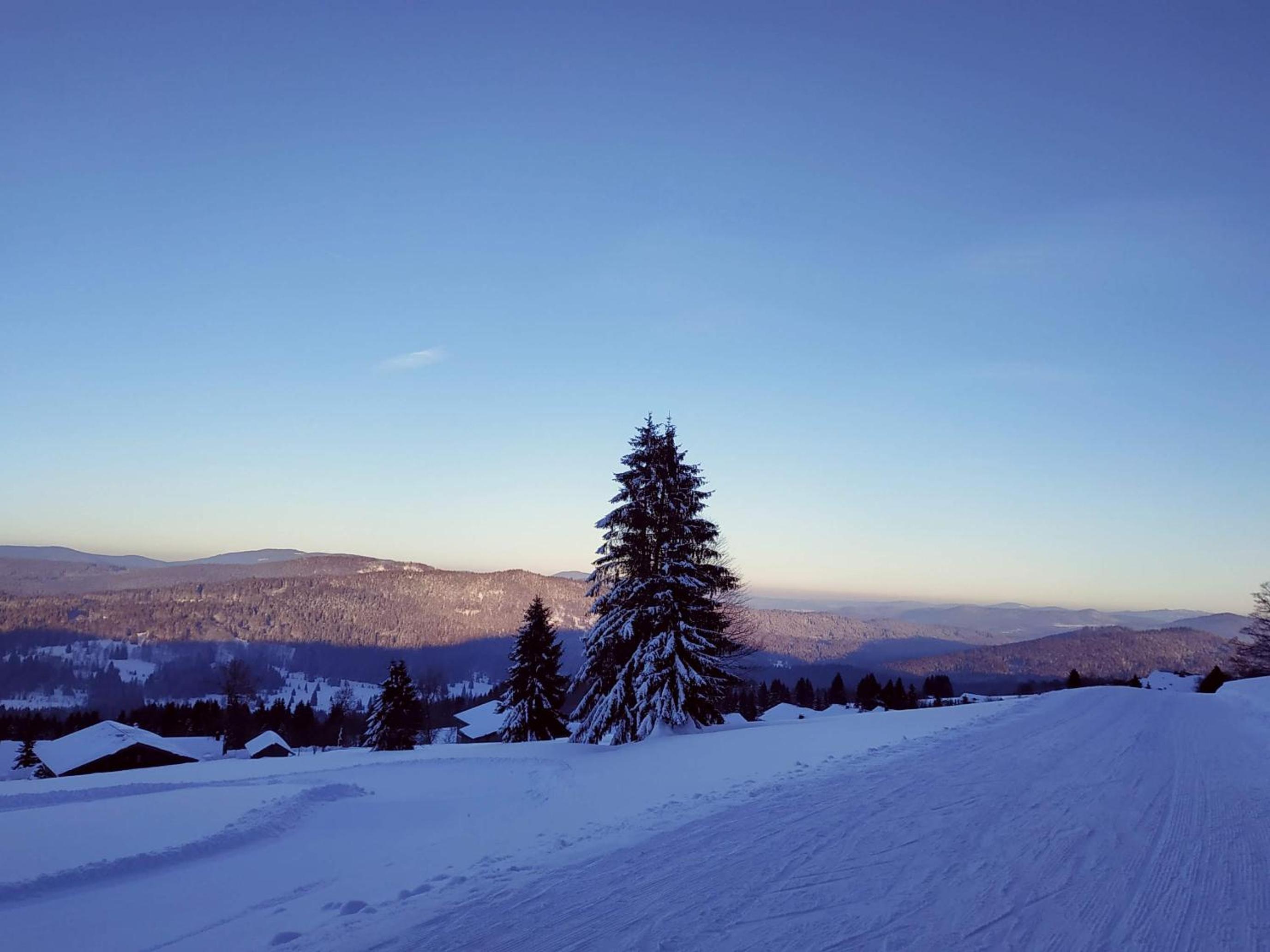Winterwohnung Almberg