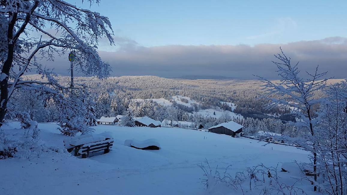 Winterwohnung Almberg