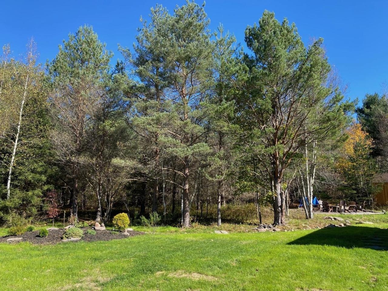Hunter Mountain Sanctuary view 2
