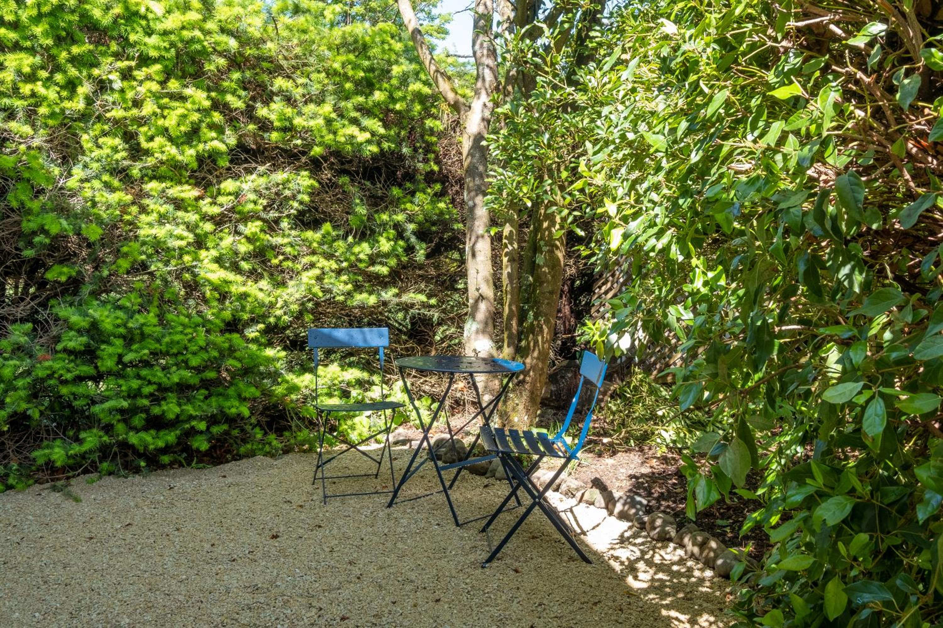 Harrogate Gardens Motel