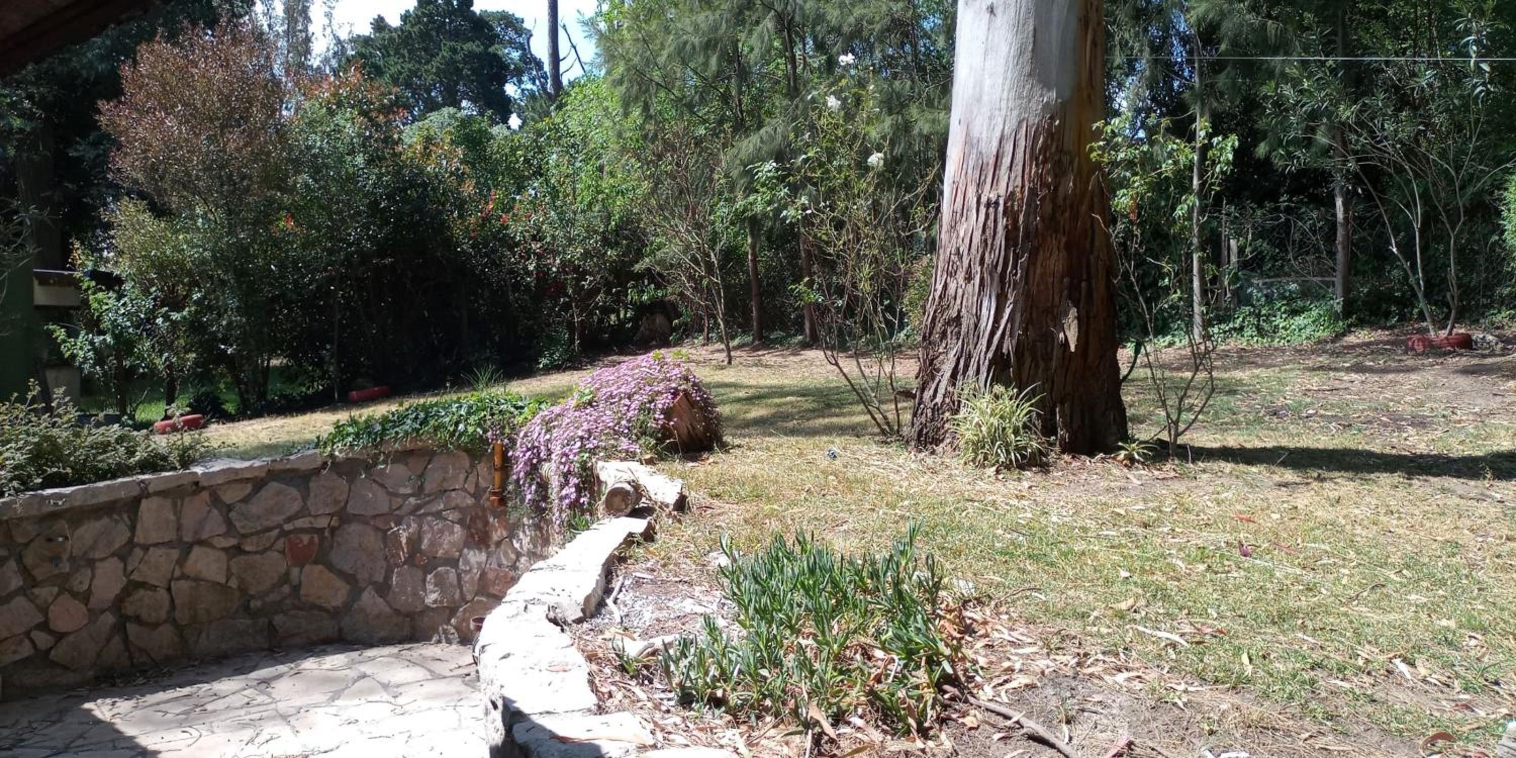 Villa Paz & Tranquilidad