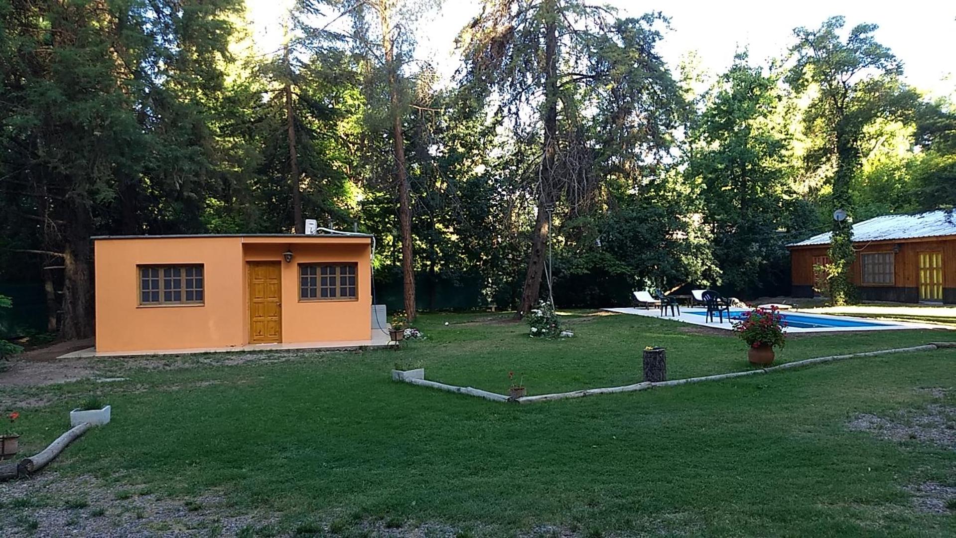 ENTREPINOS2