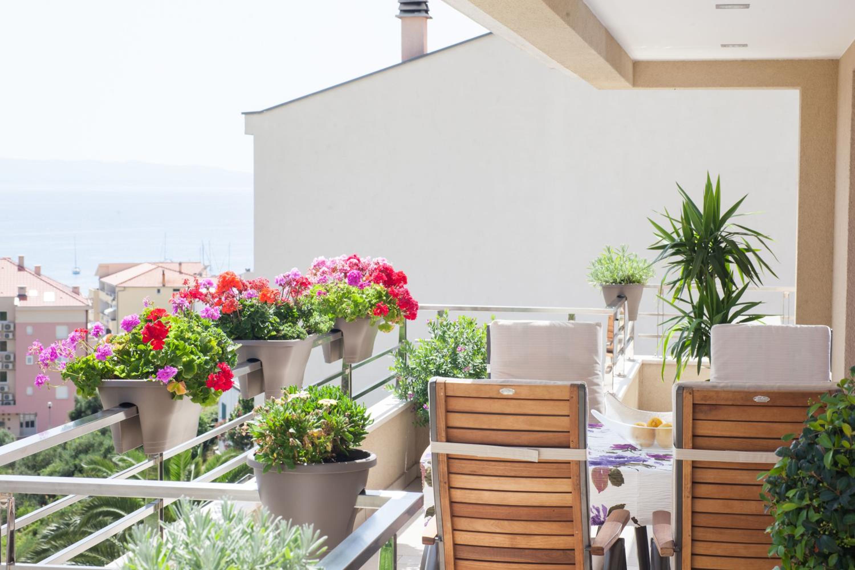 Hotel Apartment Star - Image 1