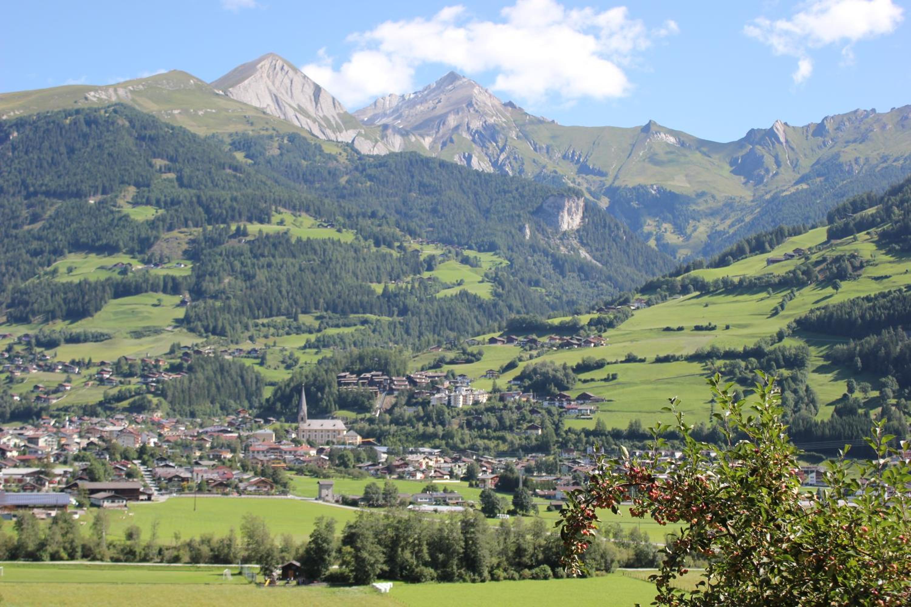 Pongitzerhof