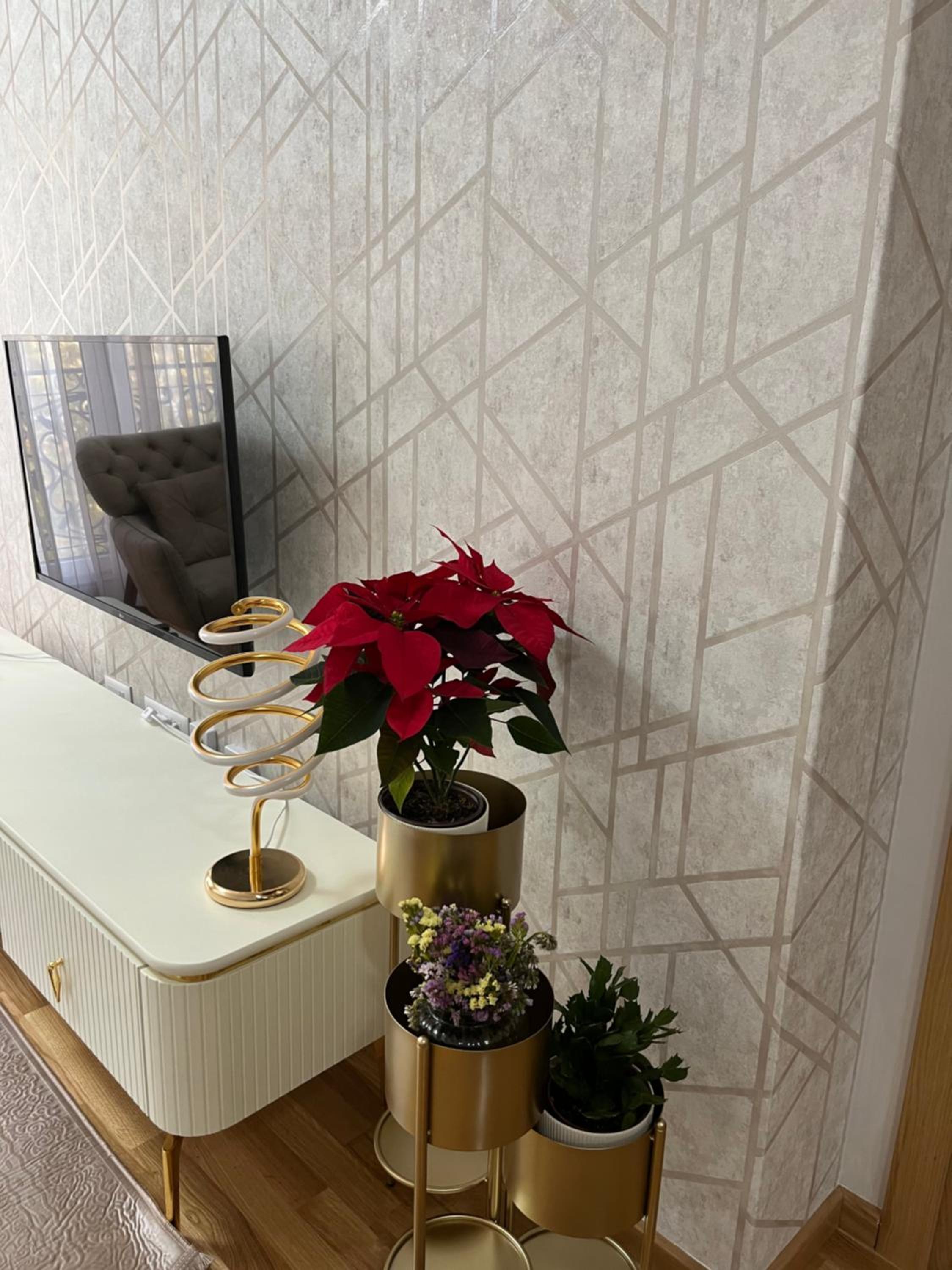 PANDORA APARTMAN CACAK view 3