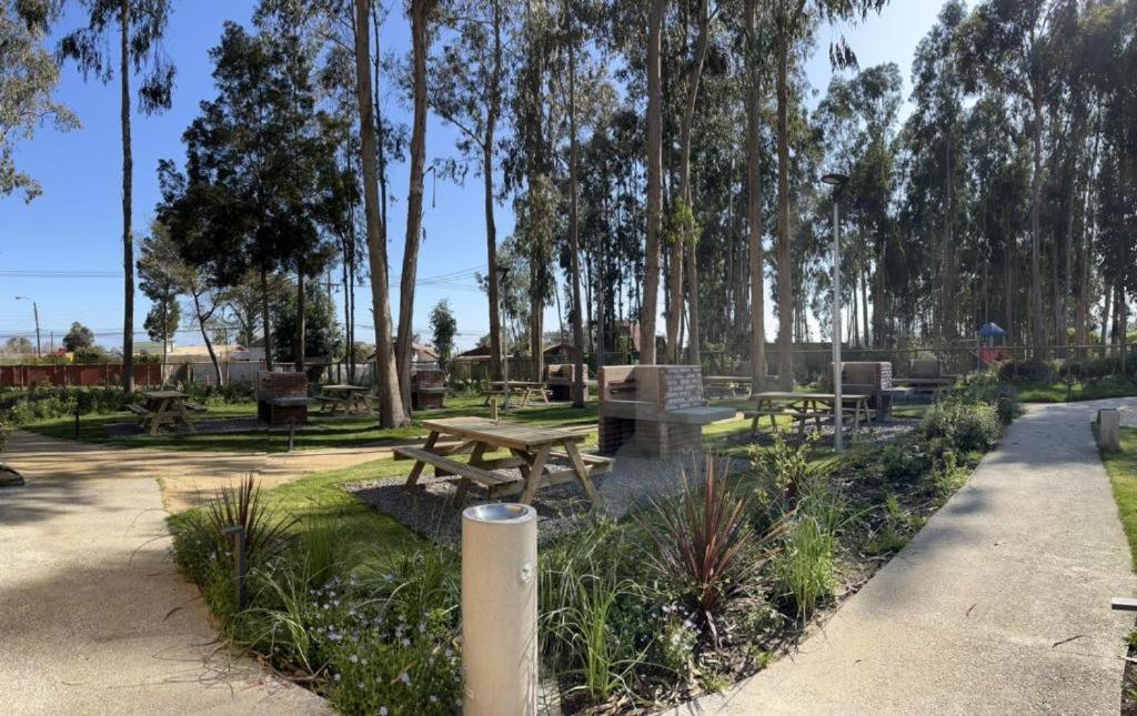 Arriendo Departamento Nuevo, Algarrobo Norte