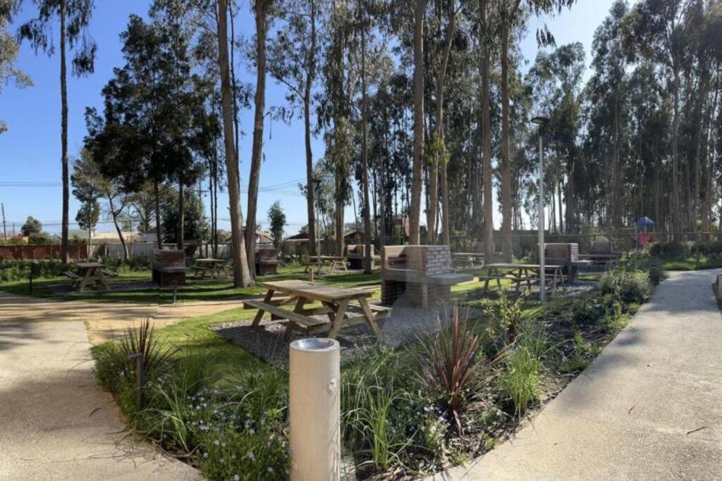 Arriendo Departamento Nuevo, Algarrobo Norte