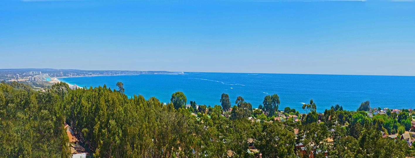 Arriendo Departamento Nuevo, Algarrobo Norte