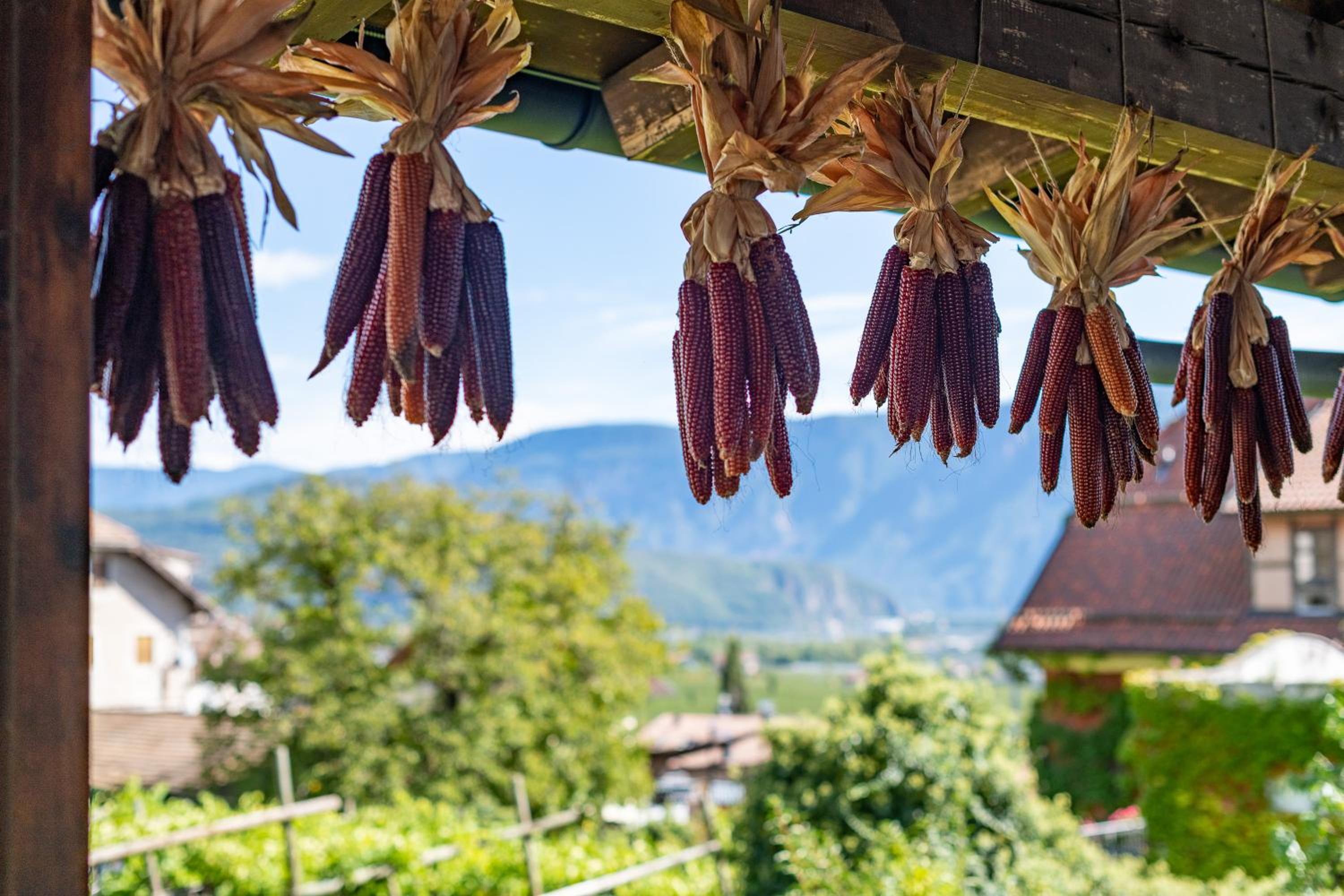 Stürz Ferienwohnungen