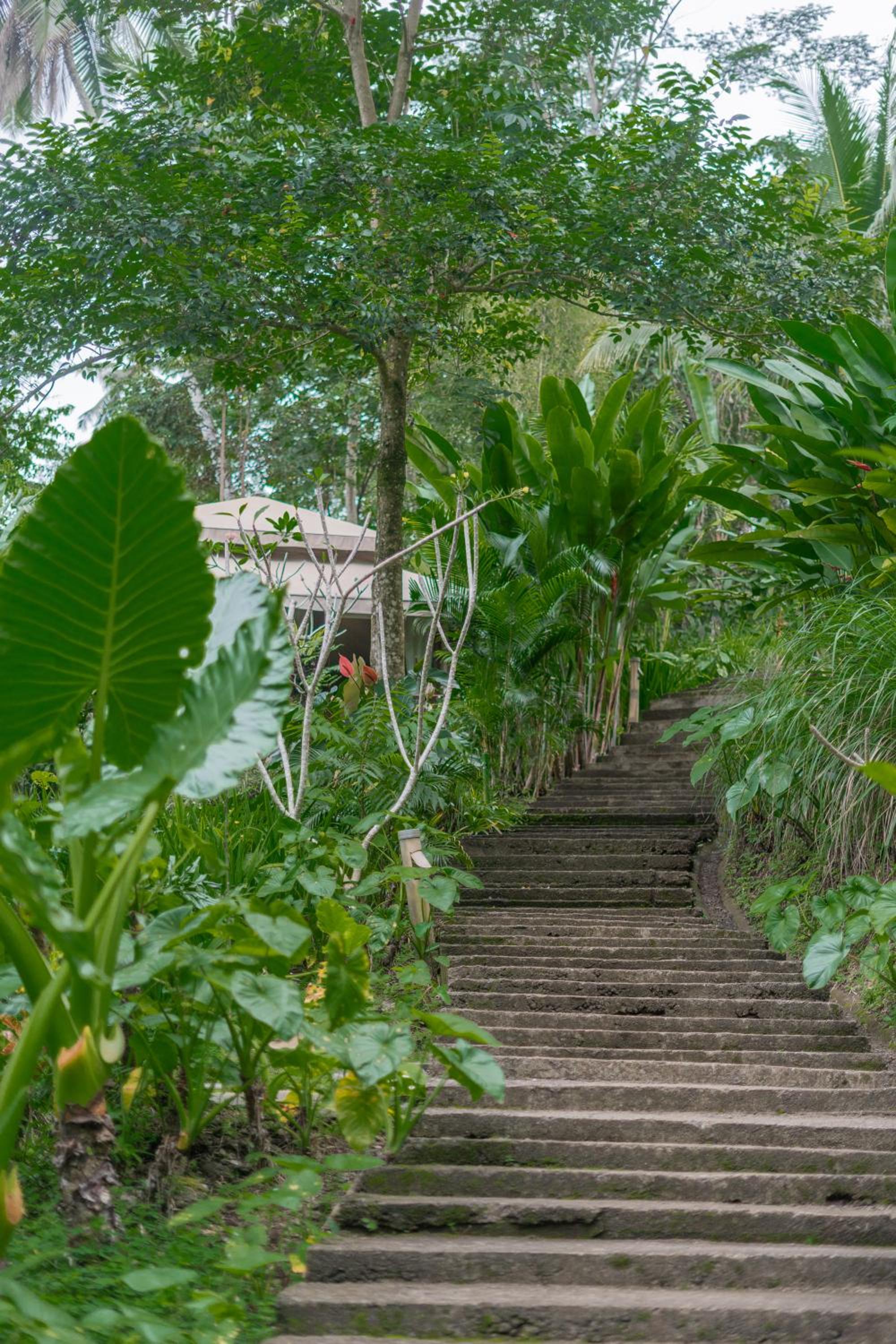 Galalima Glamping by AGATA