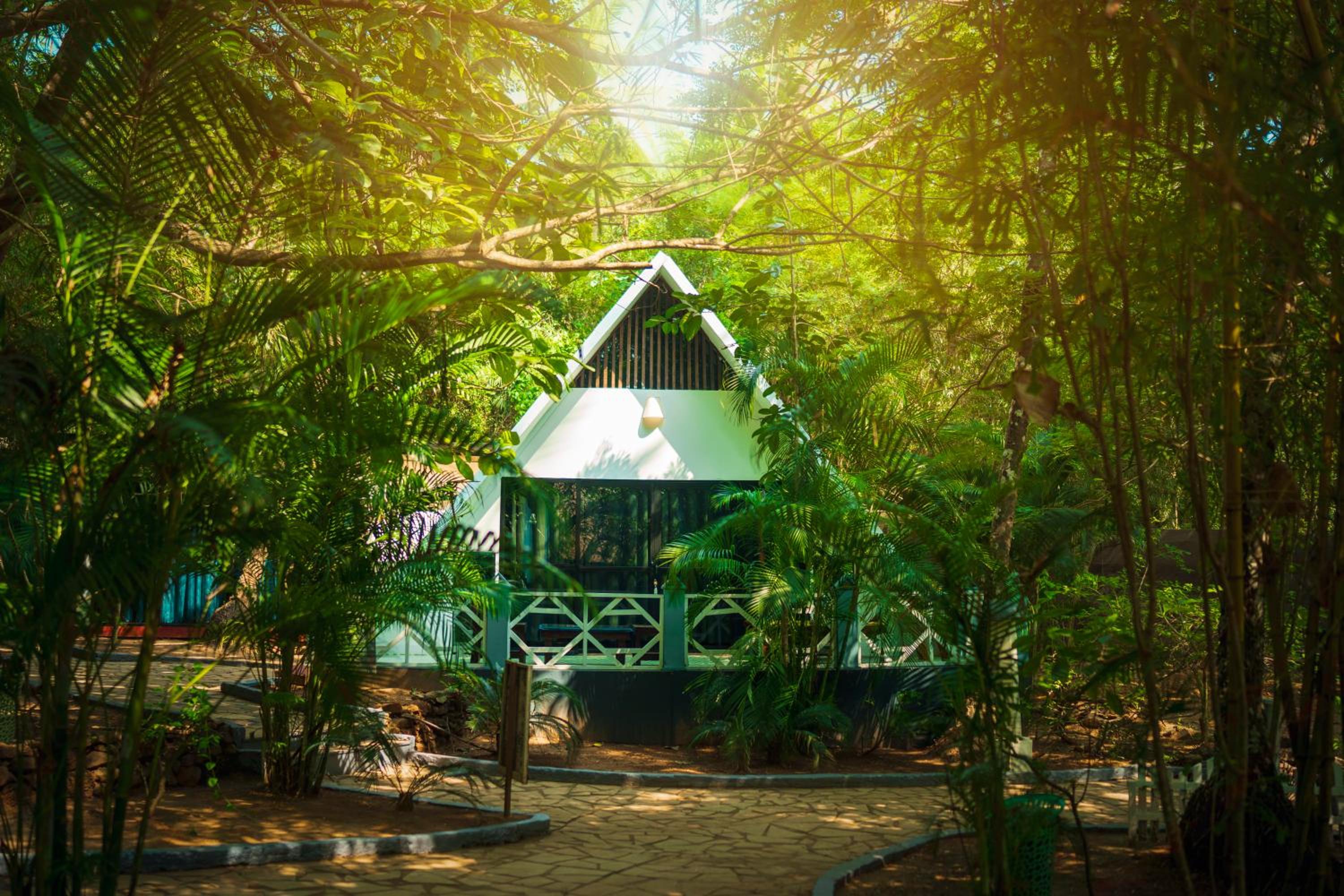 La La Land Resort Goa view 4