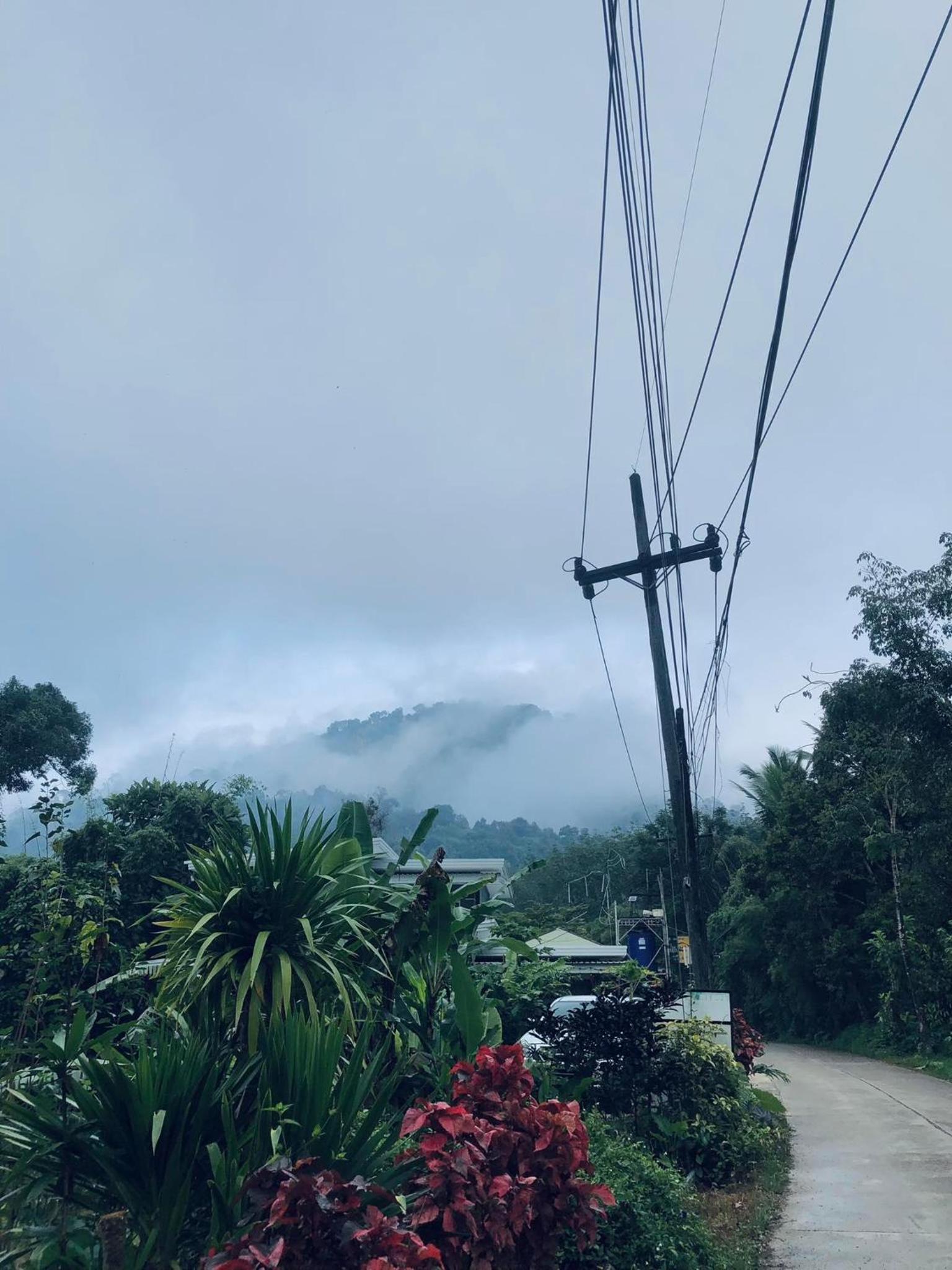Khao Sok Nung House