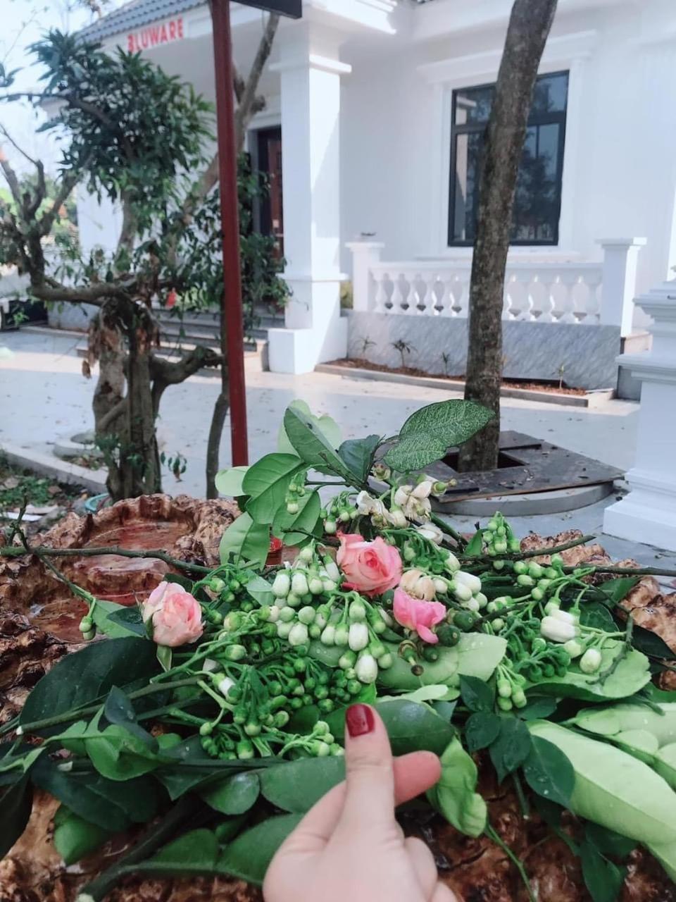 Villa Blueware - Venuestay